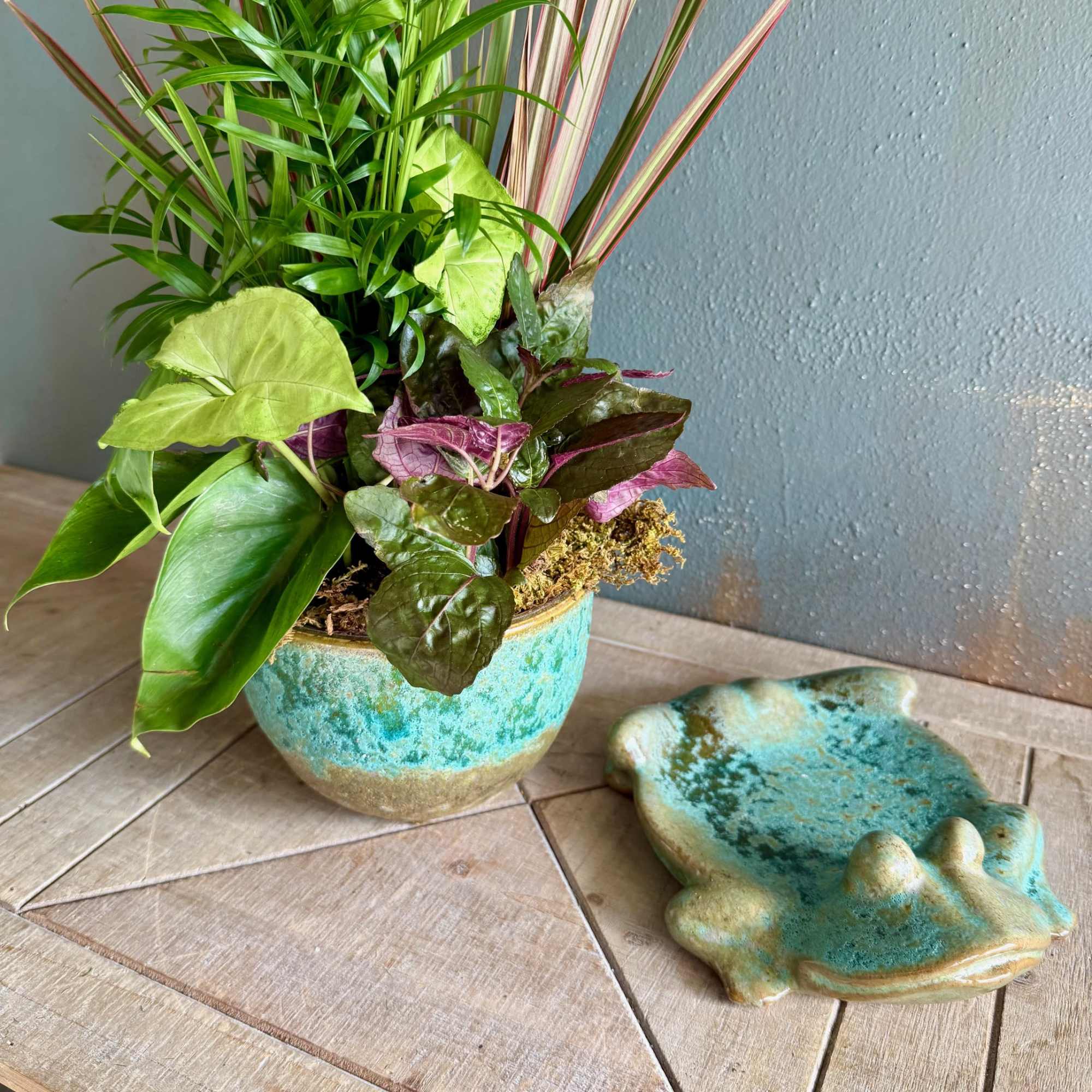 A playful turquoise frog planter cradles a lush potted arrangement that brings
