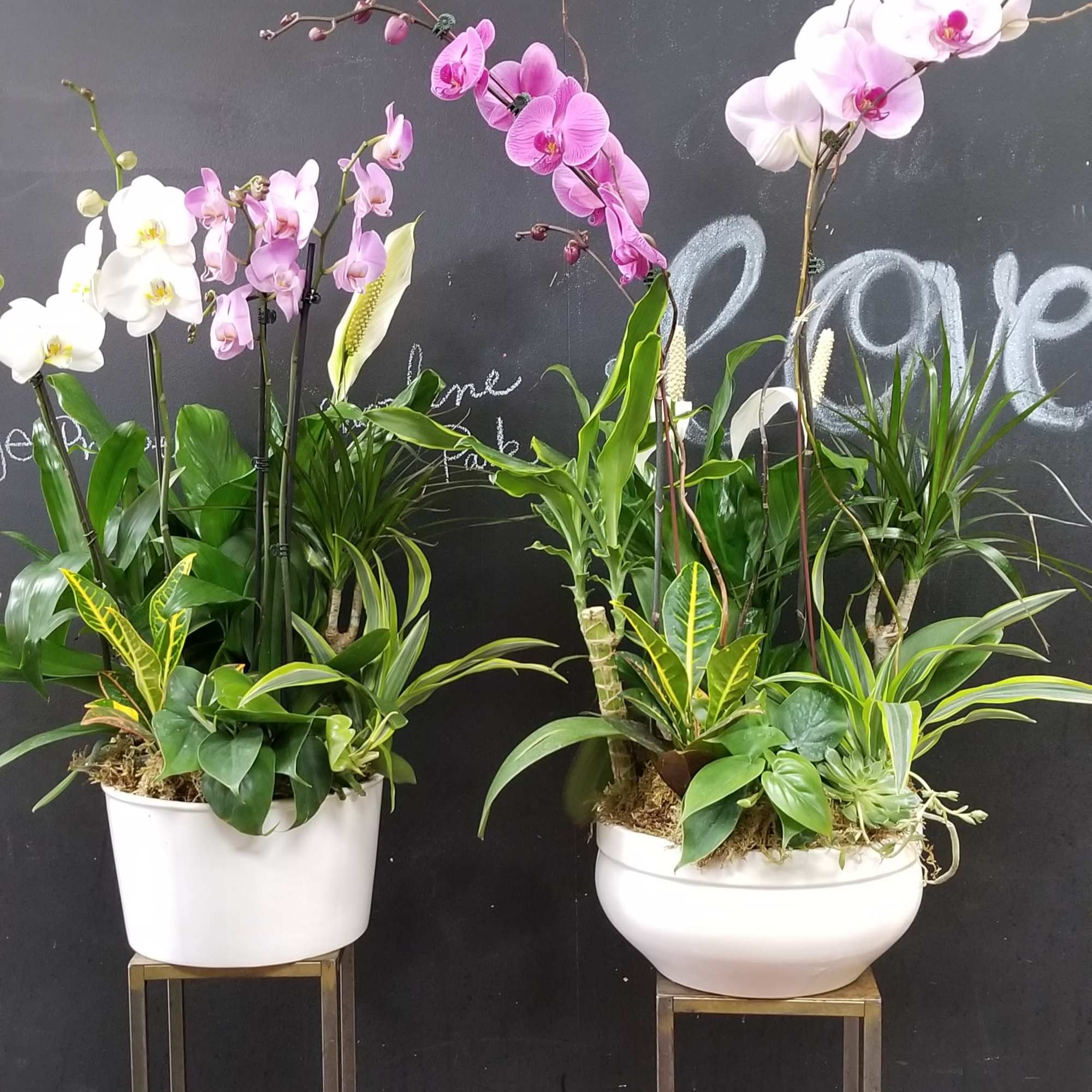 Two orchid plant arrangements in white pots on tall stands