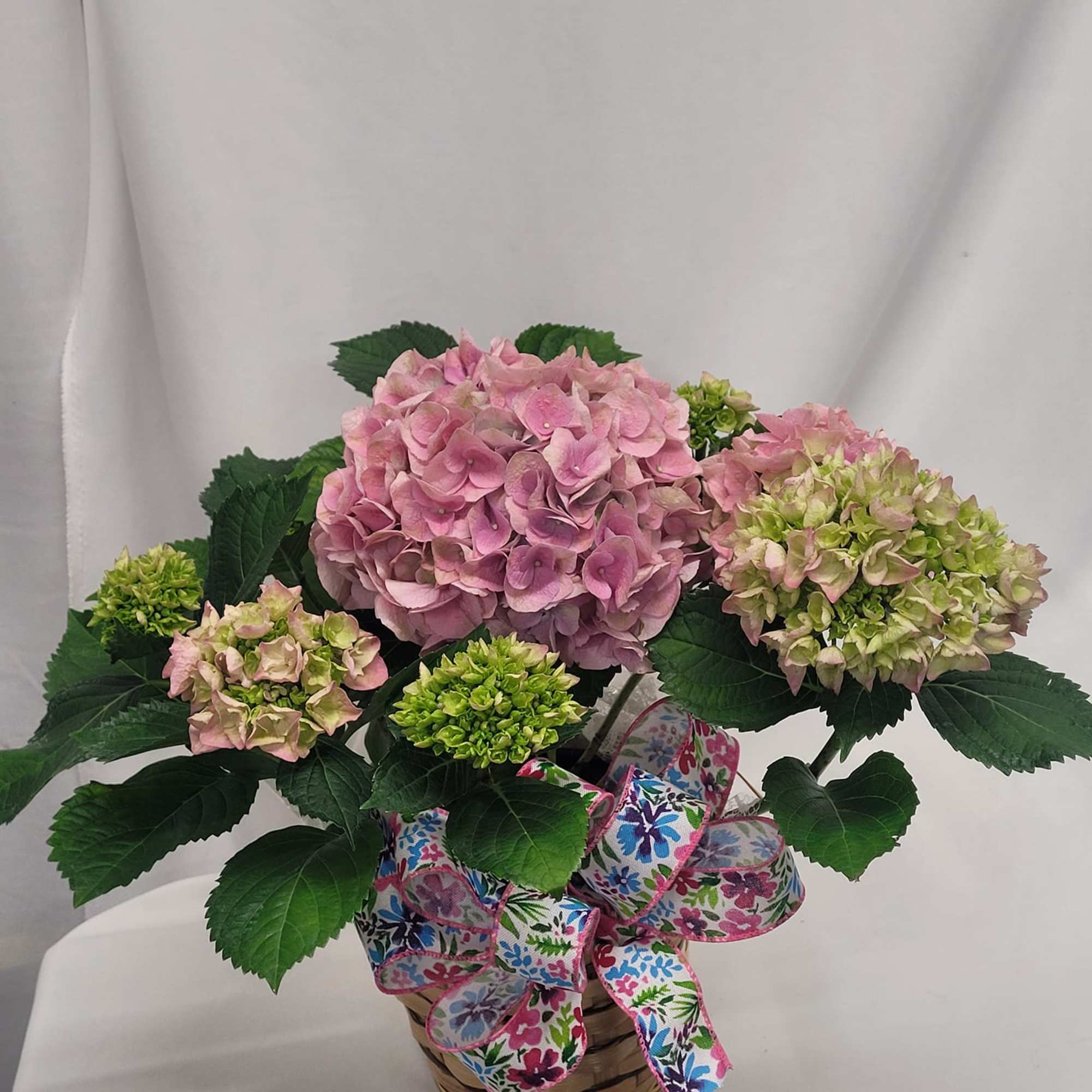Pink hydrangea arrangement in a basket with a floral ribbon