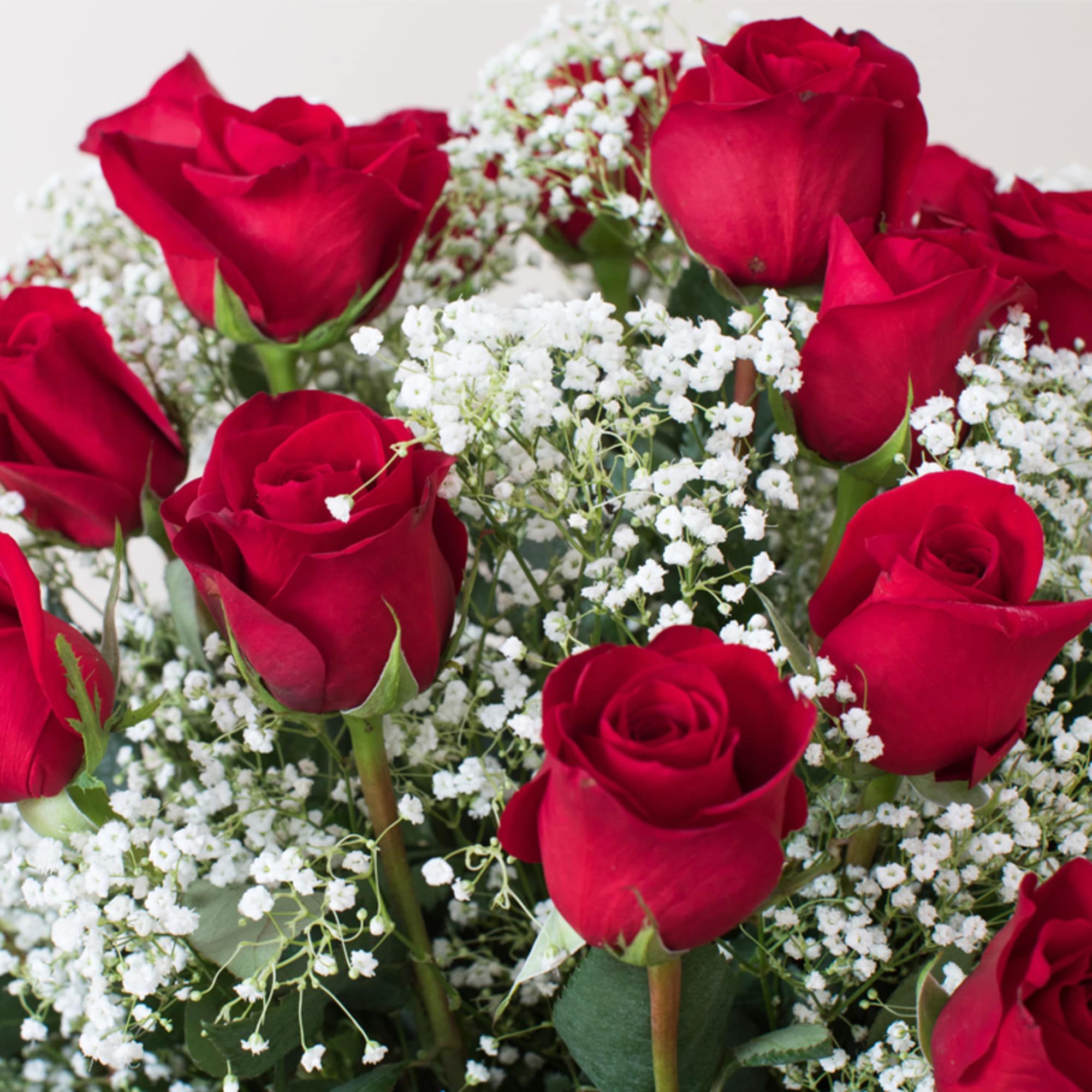 Cluster of red roses surrounded by small white filler flowers