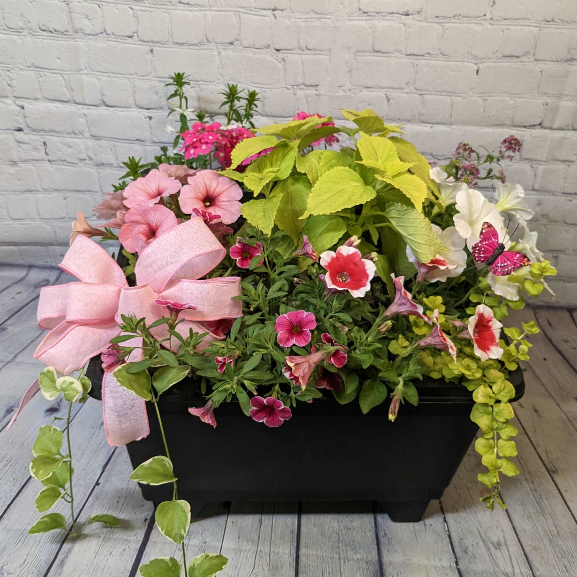 Mixed flowering planter in a black container with a pink ribbon bow