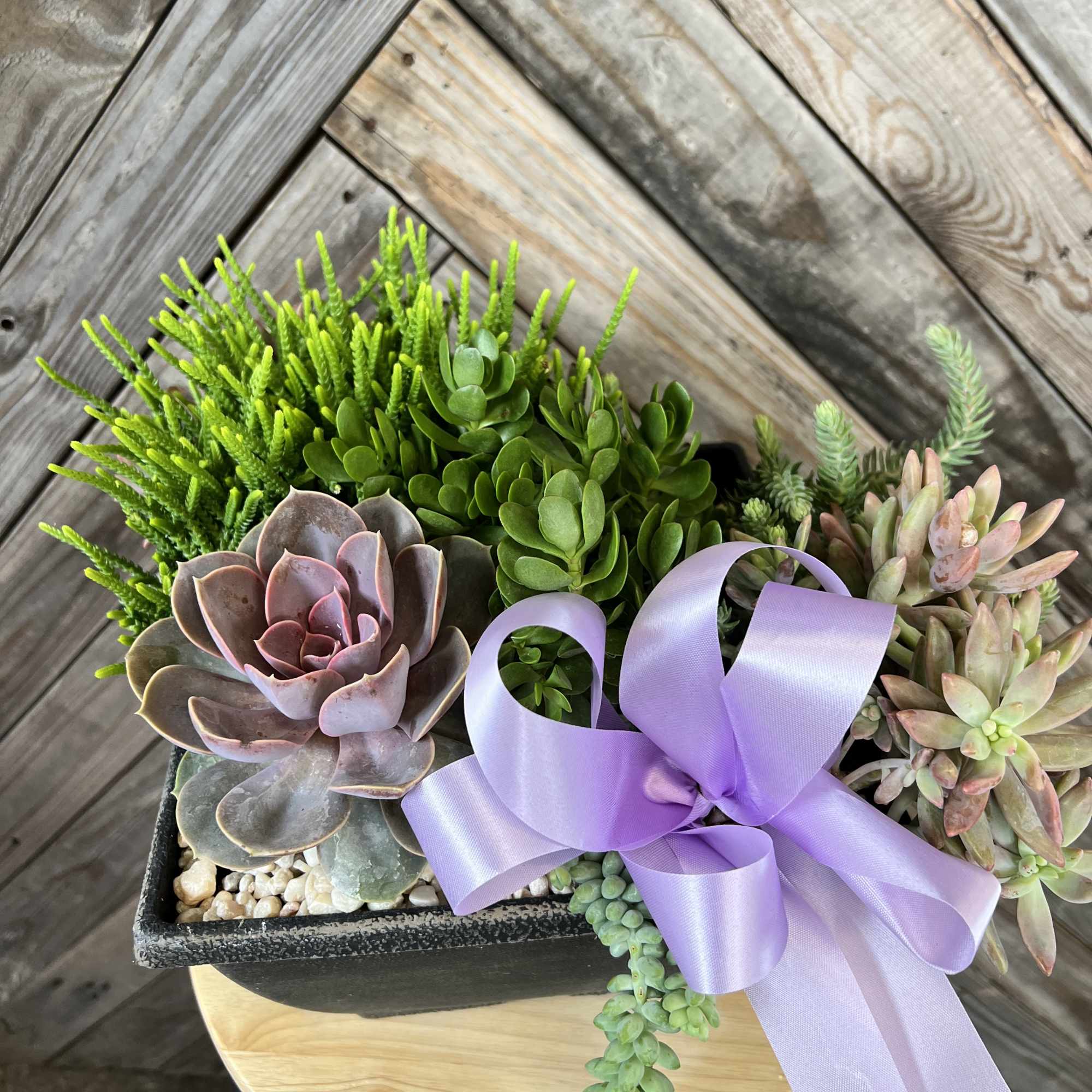 Succulent arrangement in a rectangular planter with a lavender ribbon