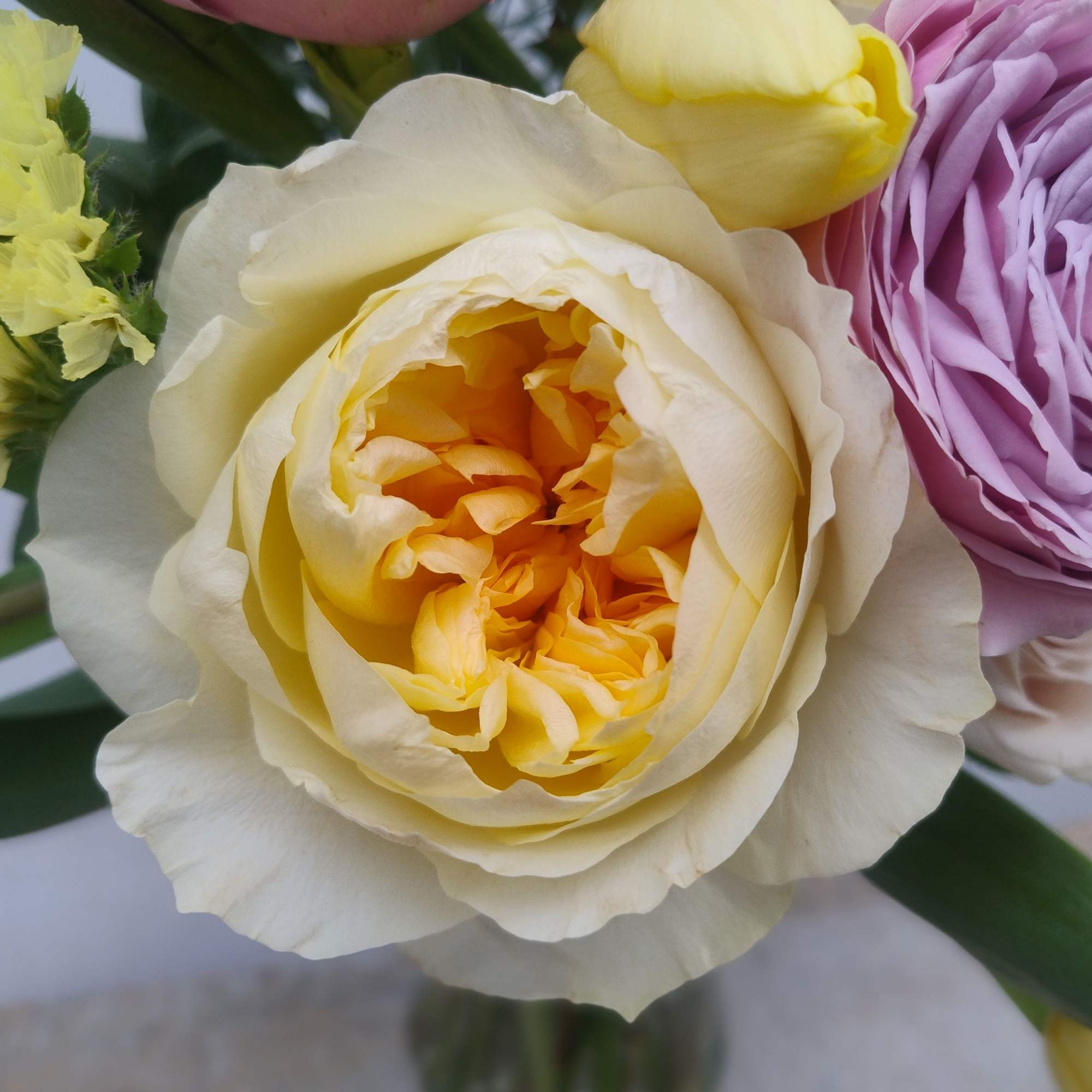 Soft spring pastels featuring garden roses &amp; tulips.