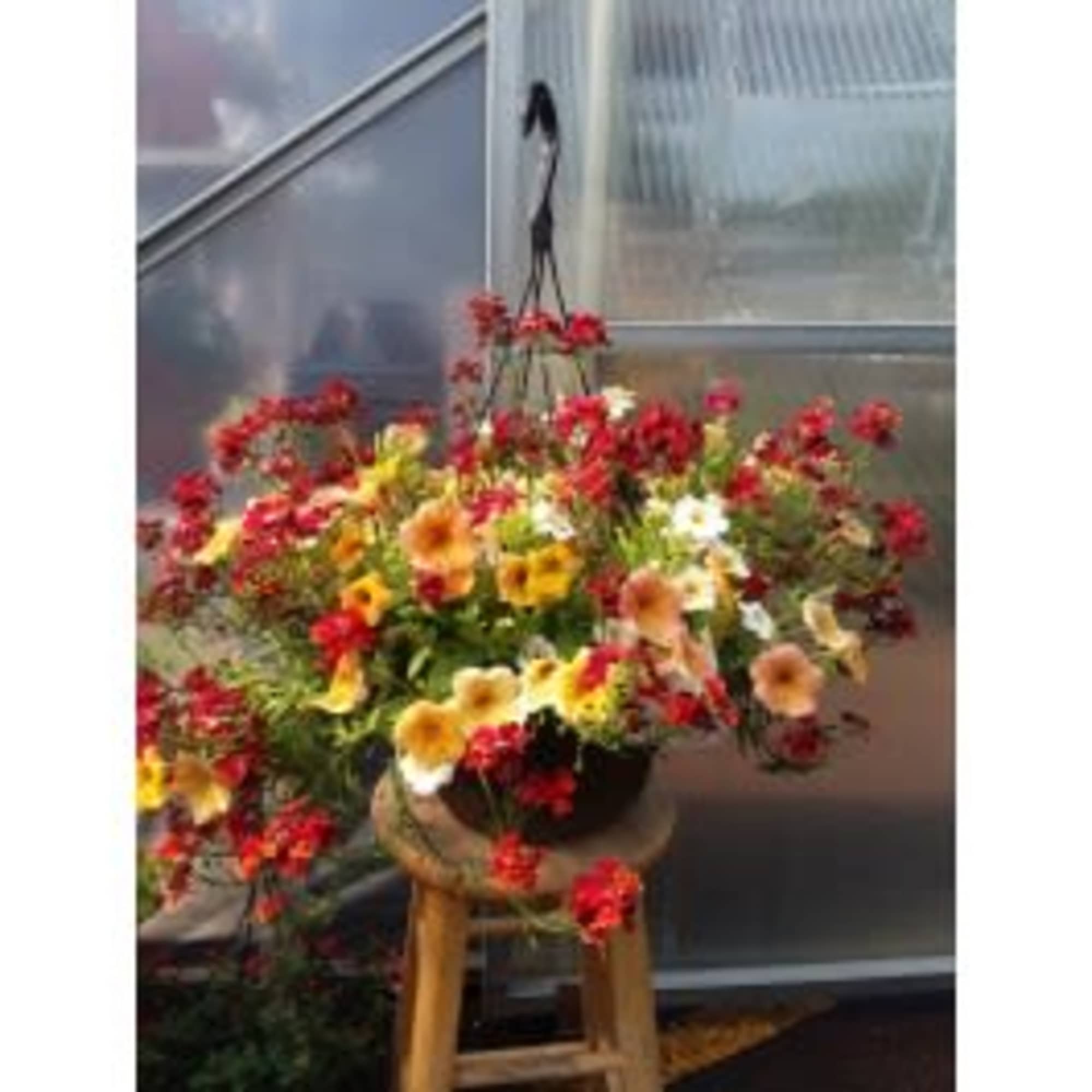 Hanging basket of red, yellow, peach, and white flowers in a black pot on a wooden stool