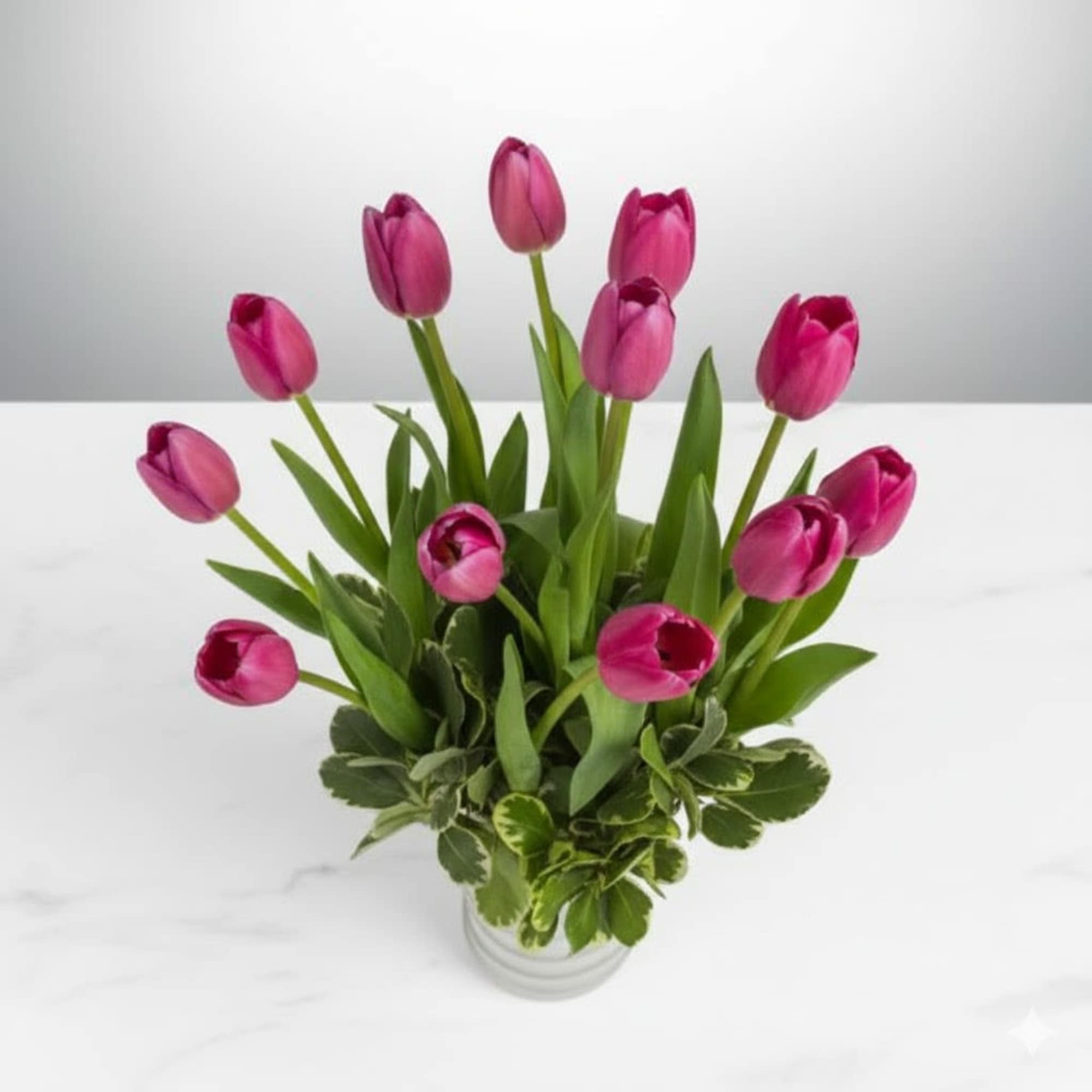  Pet Friendly?
No. Tulips are known to be toxic to cats and