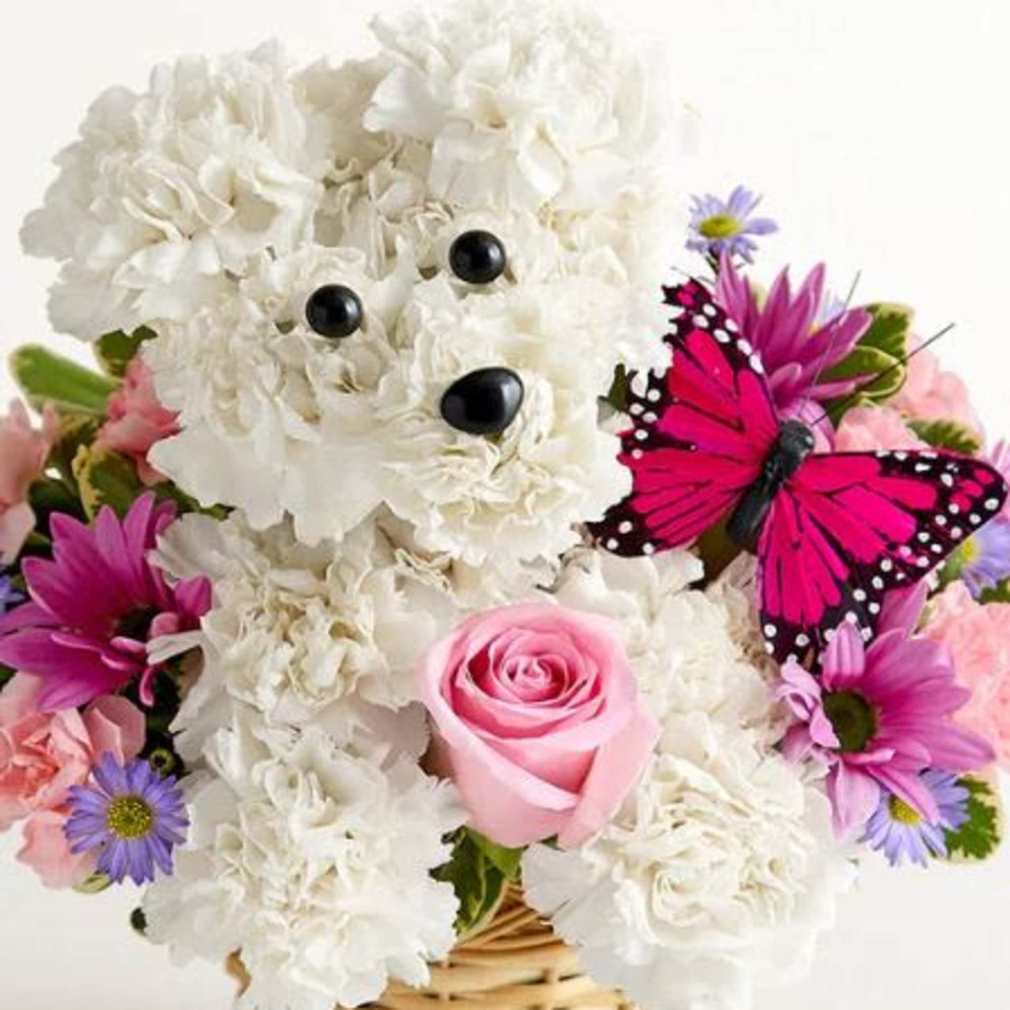  Pet Friendly?
No
Contains&nbsp;chrysanthemums/daisy poms, which can be toxic to cats and dogs