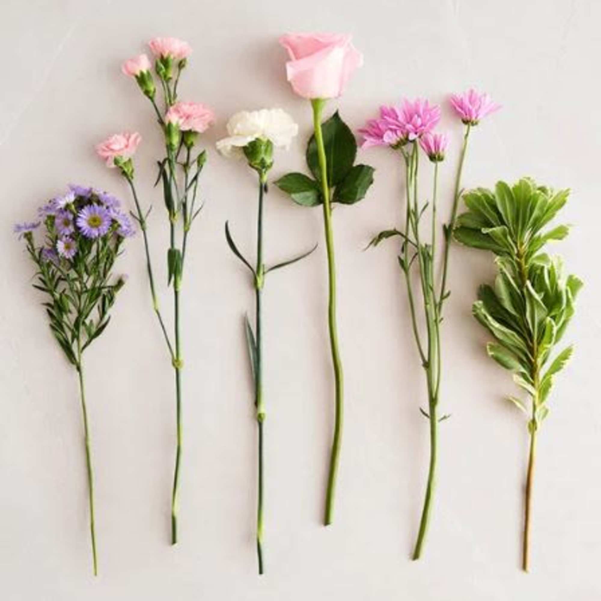  Pet Friendly?
No
Contains&nbsp;chrysanthemums/daisy poms, which can be toxic to cats and dogs