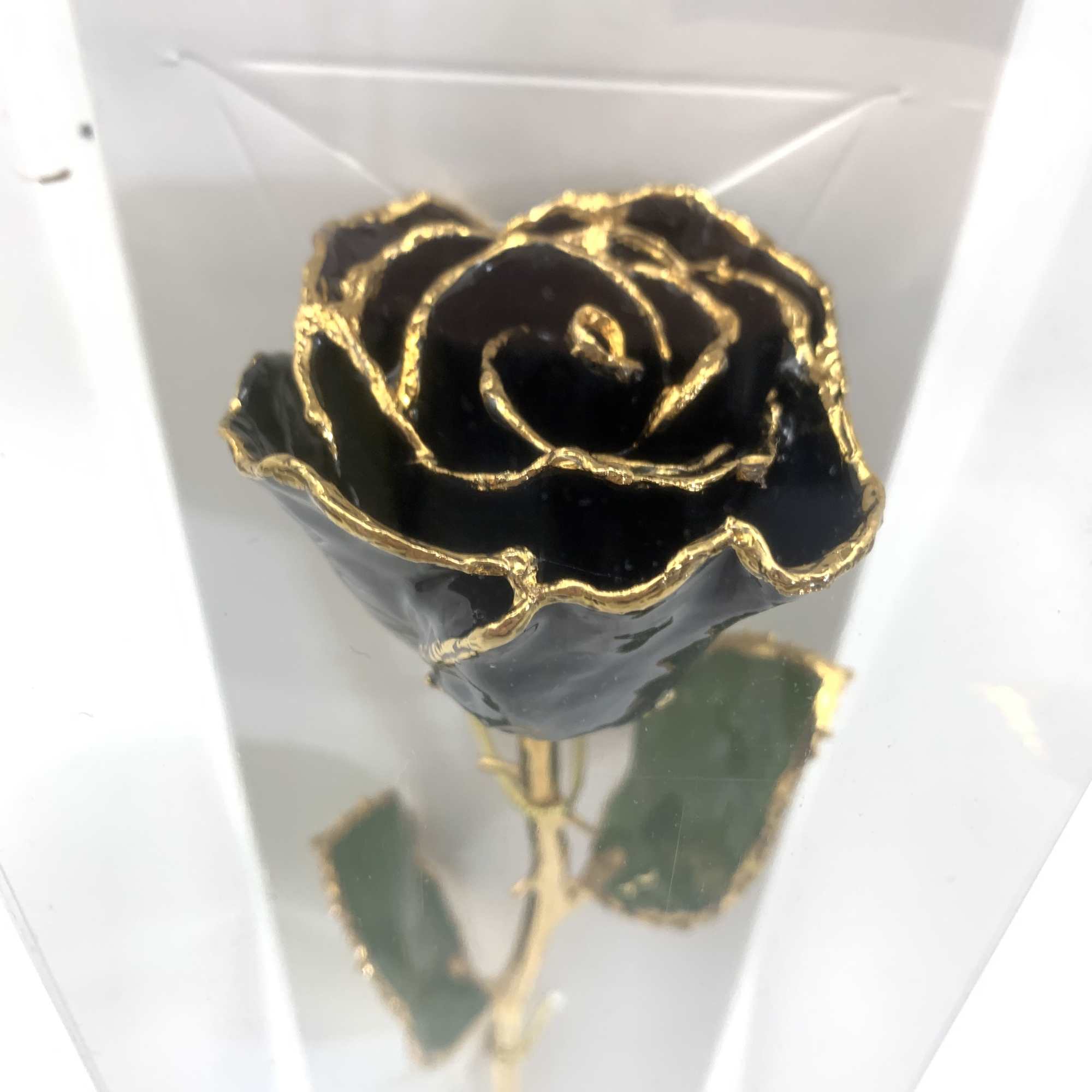 Single black rose with gold-edged petals in a clear box
