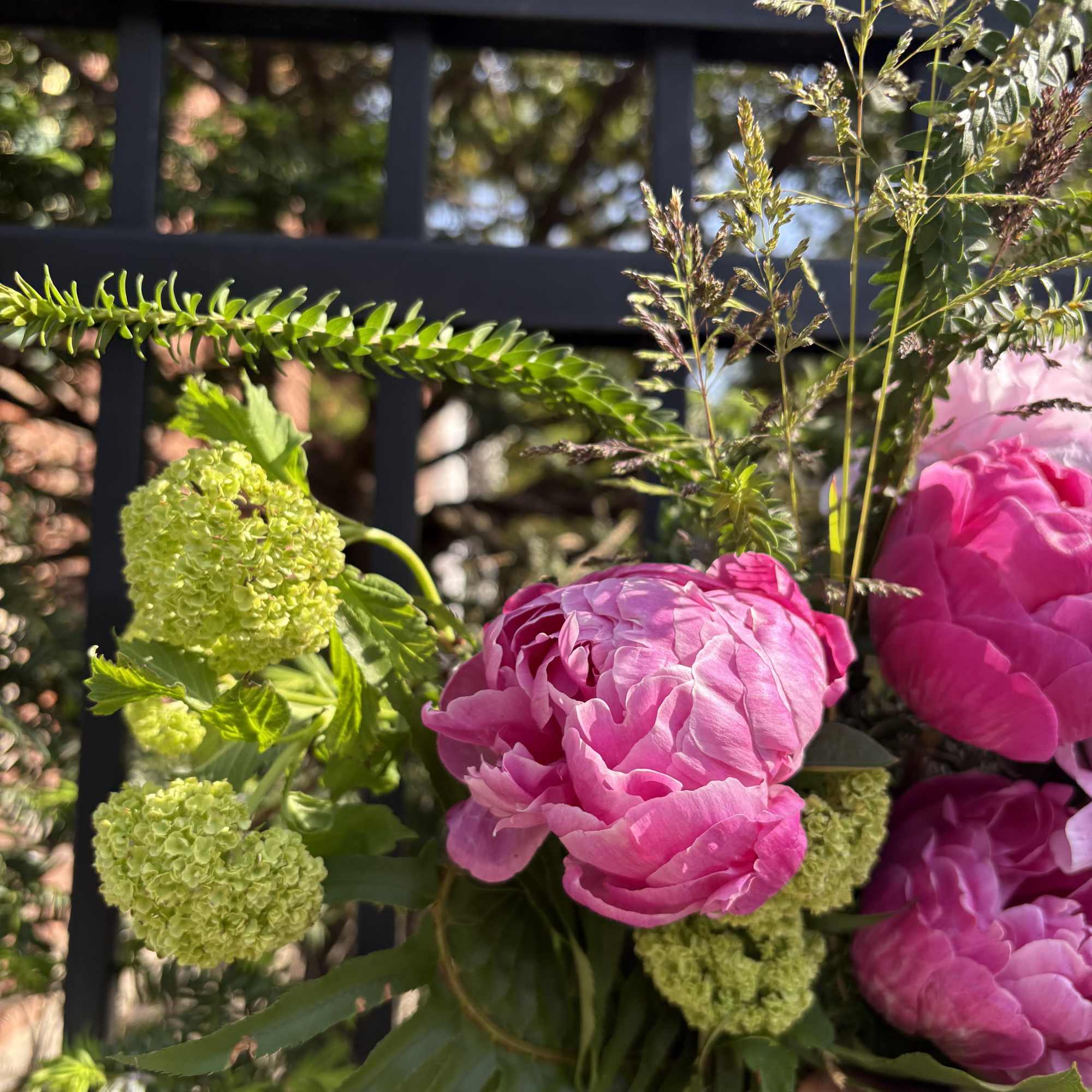 Give your special lady the flower of the season, Peonies! 

Our Peony