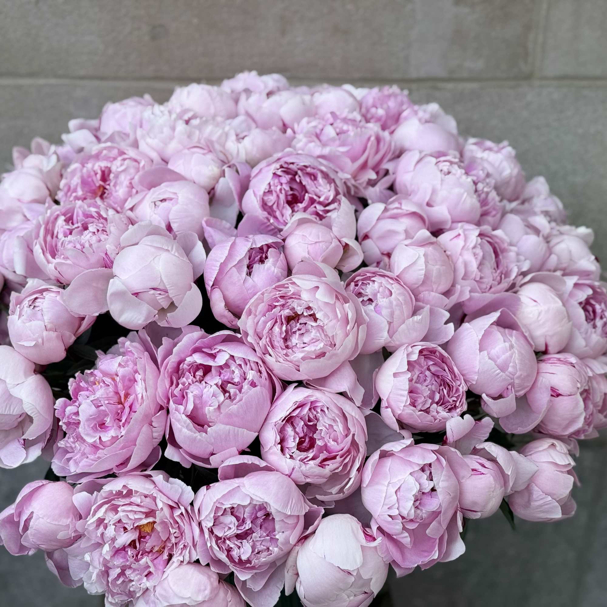 A cloudlike dome of pale pink peonies creates an instantly romantic statement