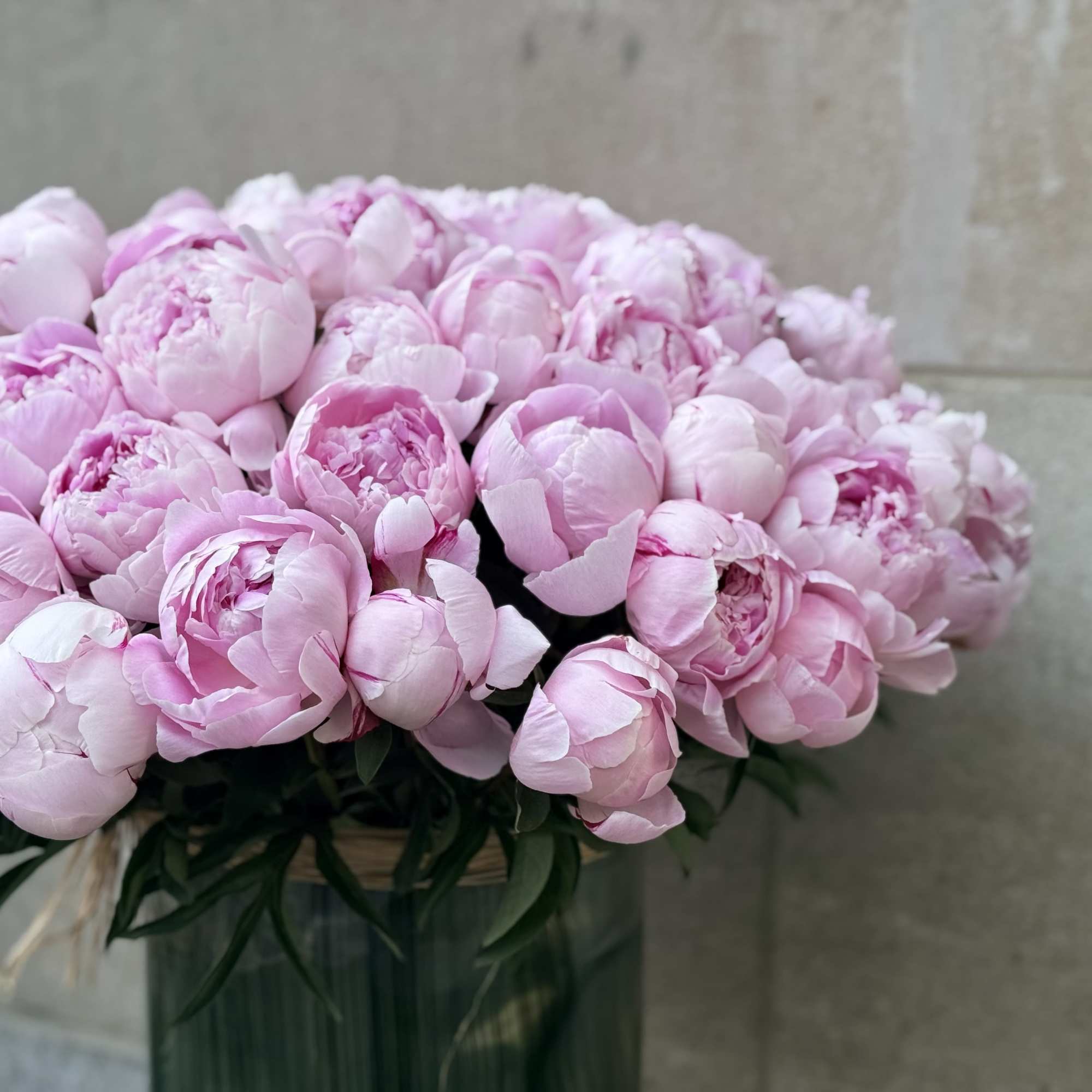 A cloudlike dome of pale pink peonies creates an instantly romantic statement