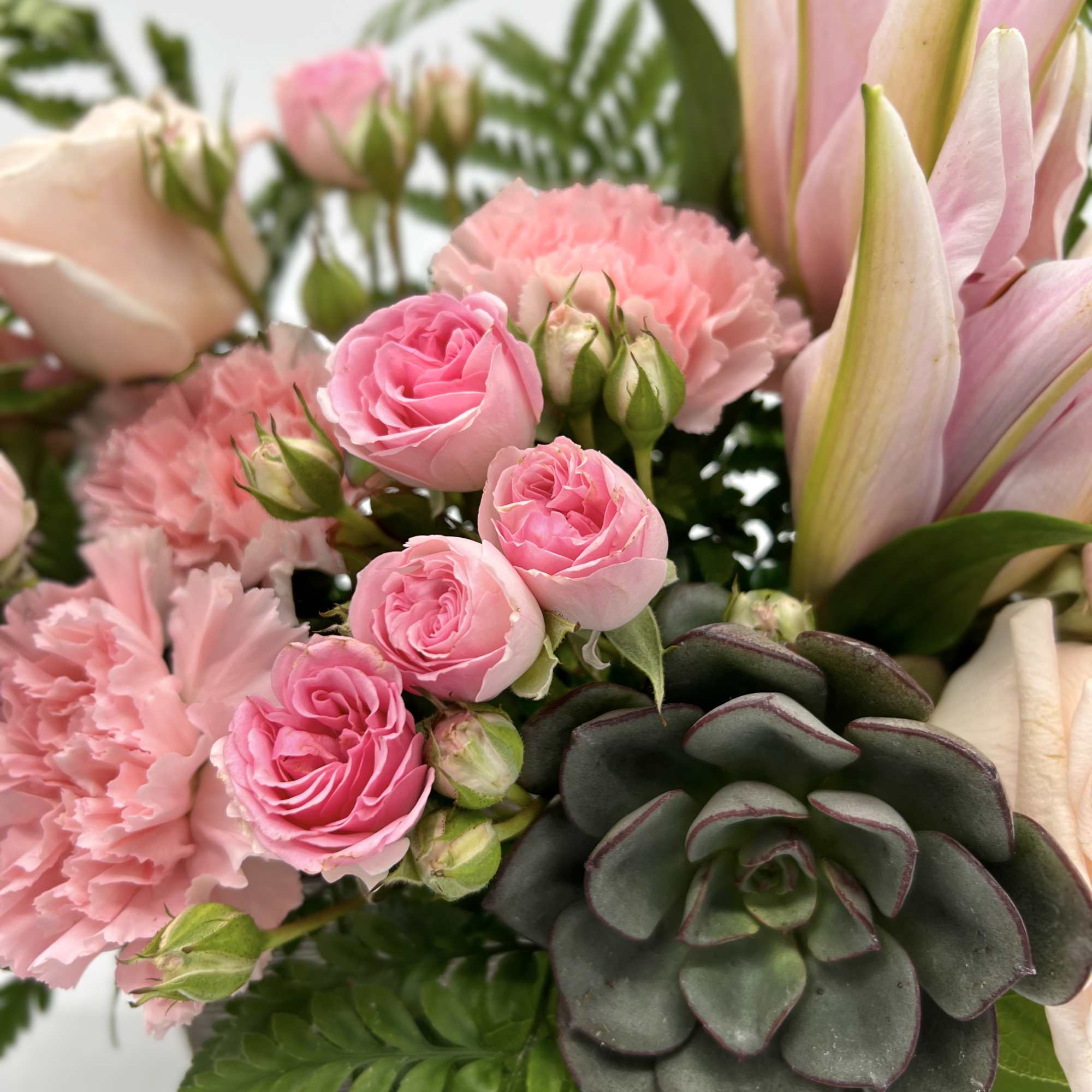 Pink roses and carnations with a succulent in a bouquet