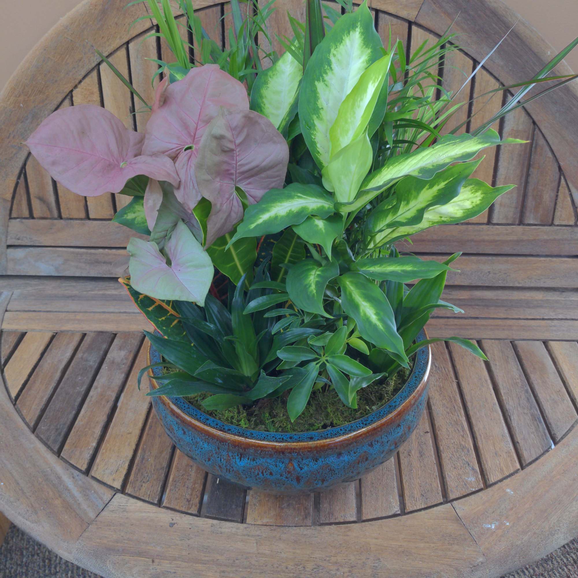Mixed Green Plants In Ceramic Container 
Container And Plants Will Vary