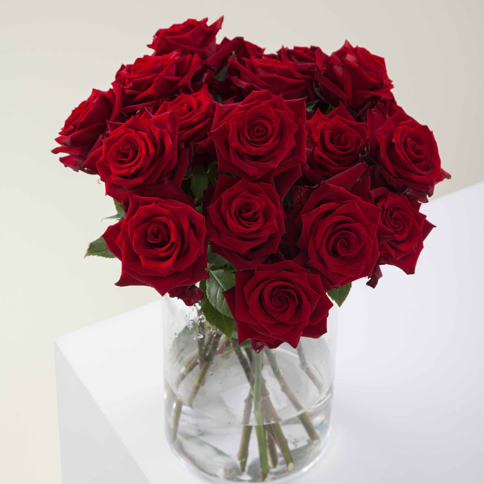 Fresh roses delivered from the heart of DTLA. The Classic is 48