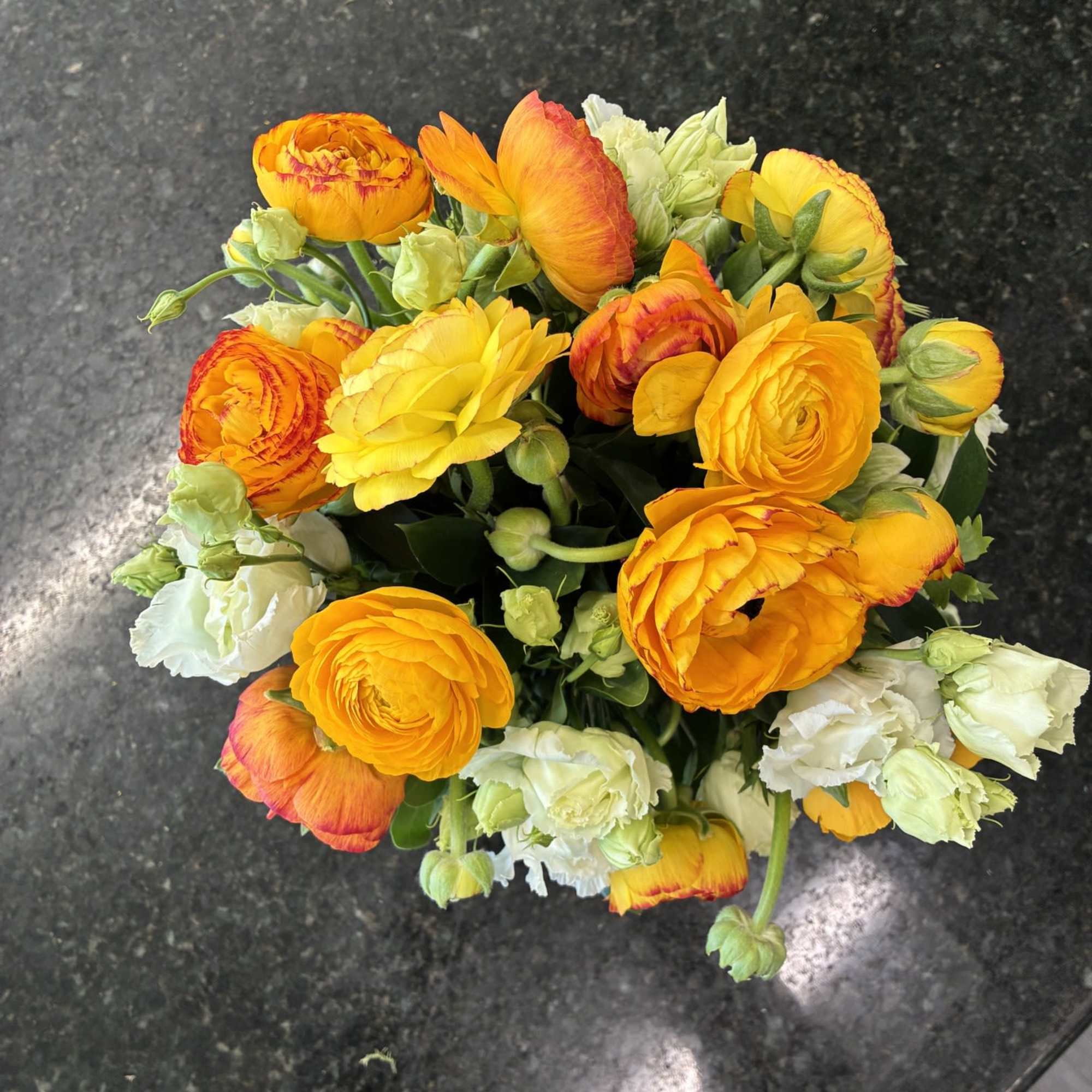 Ranunculus arranged in a lined Cube with a touch or White Lisianthus
