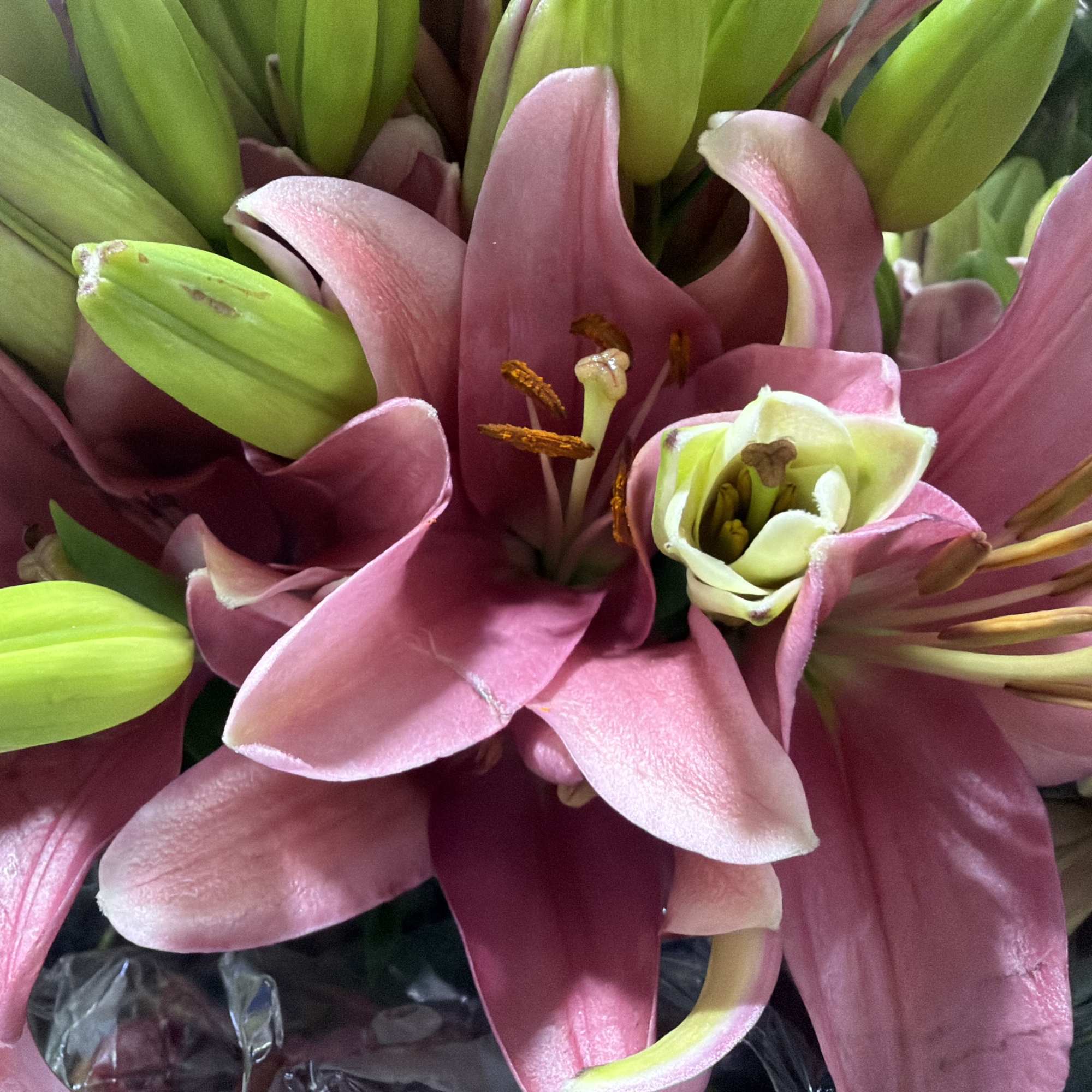 Bright pink roses and stargazer lilies come together with purple lisianthus and