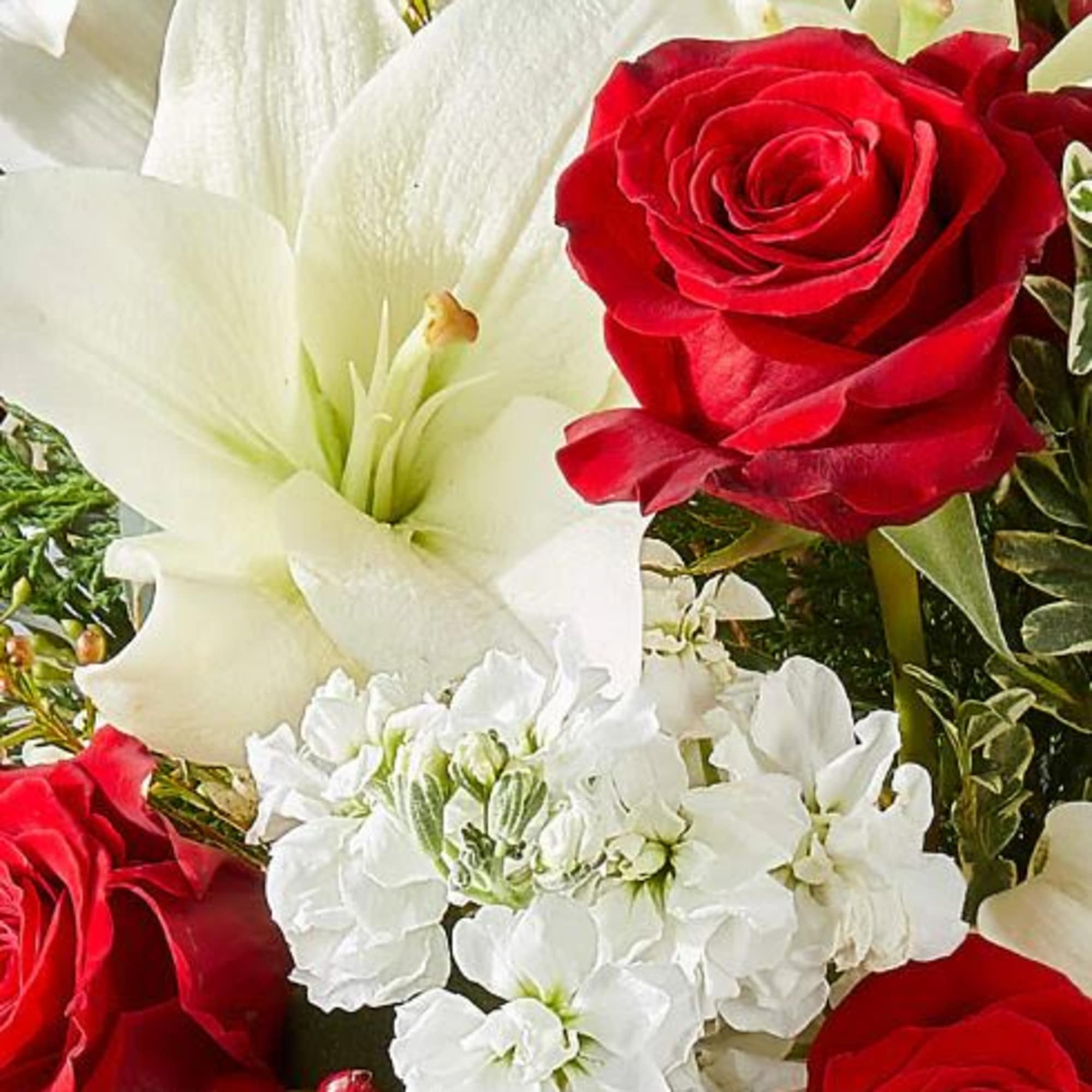  Pet Friendly?
No. Includes lilies and eucalyptus, which can be harmful to