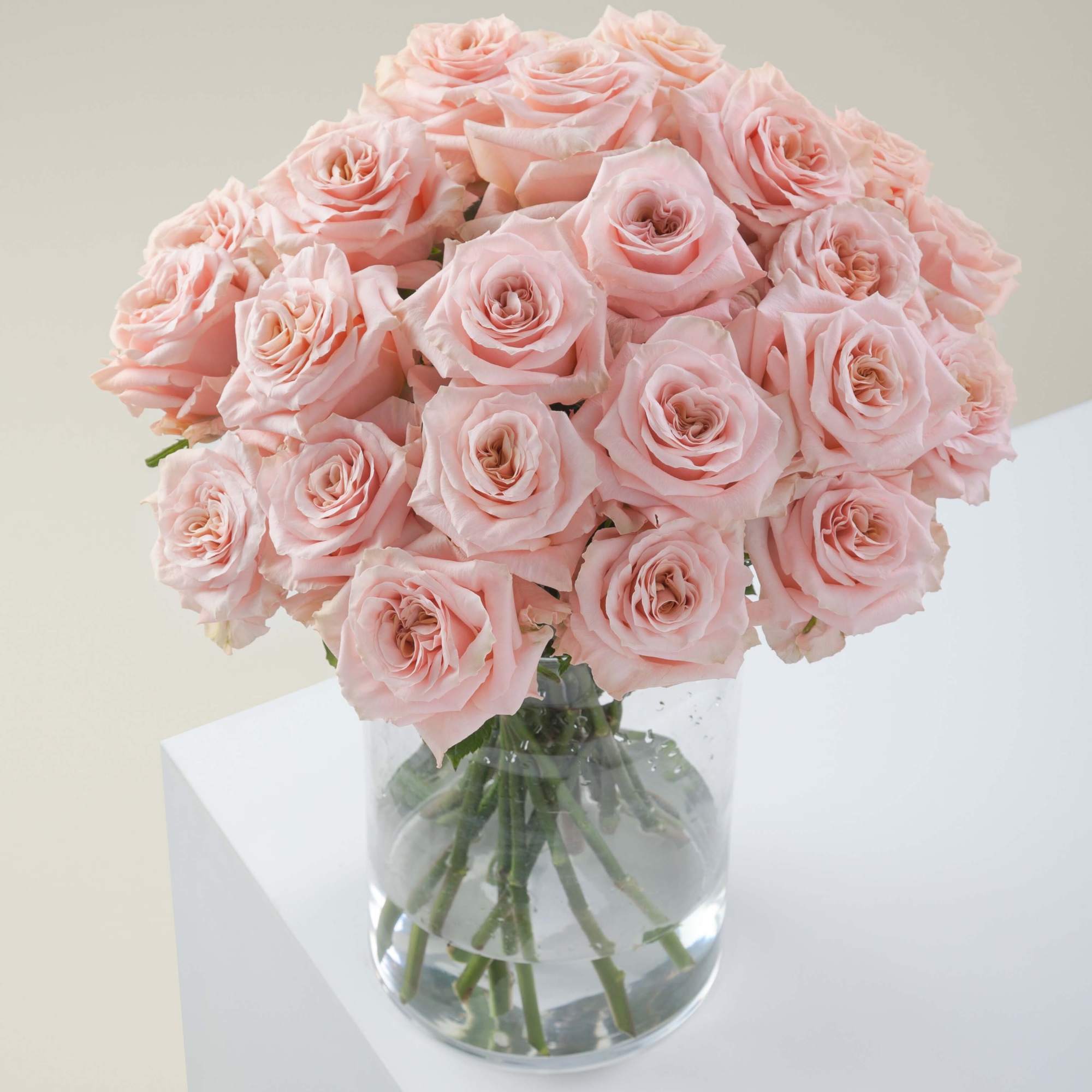 36 fresh  roses in your choice of variety, 70 cm stem