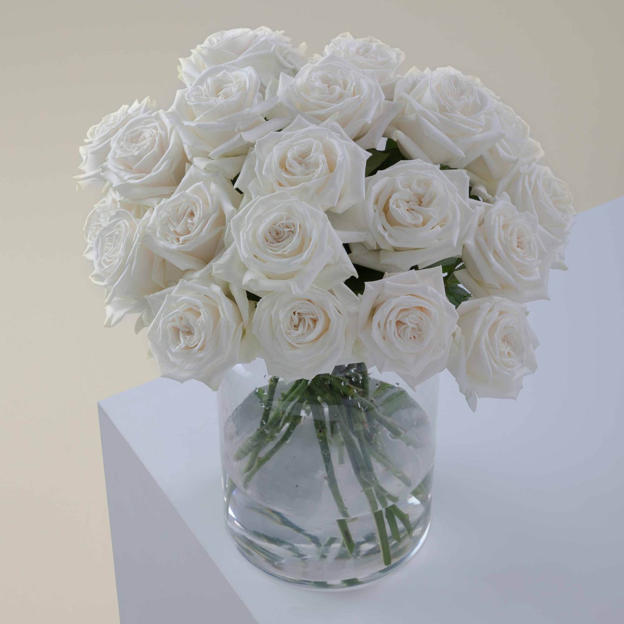 Fresh roses delivered from the heart of DTLA. The Classic is 12