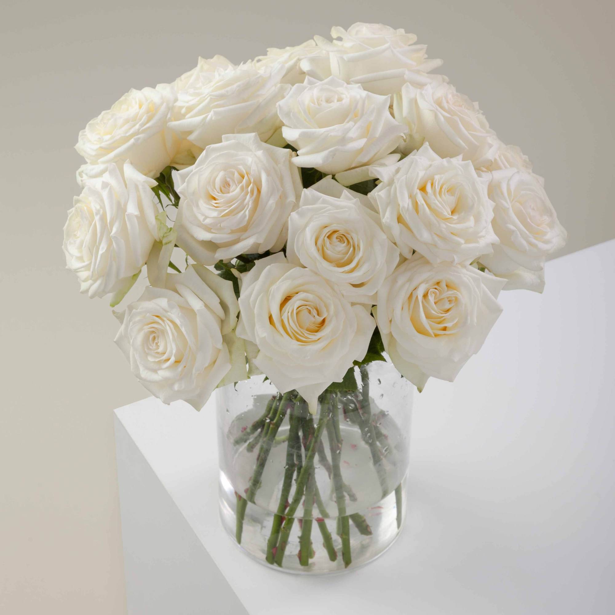 Fresh roses delivered from the heart of DTLA. The Classic is 12