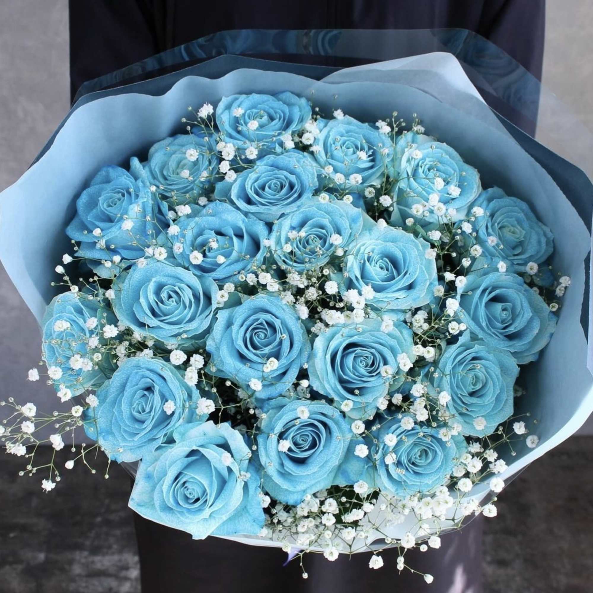 Bouquet of bright blue roses with white baby's breath