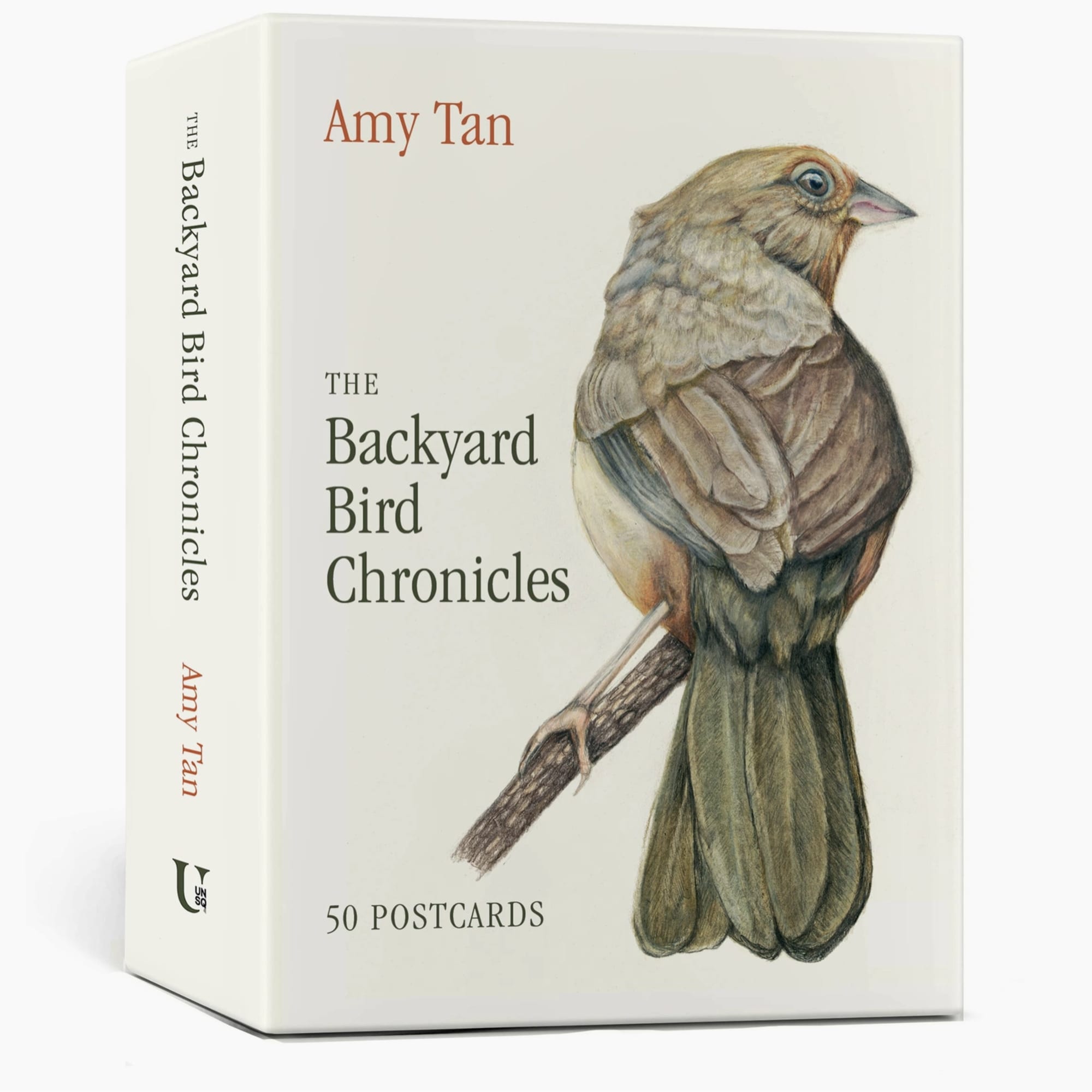 Boxed set of postcards with a bird illustration and Amy Tan title