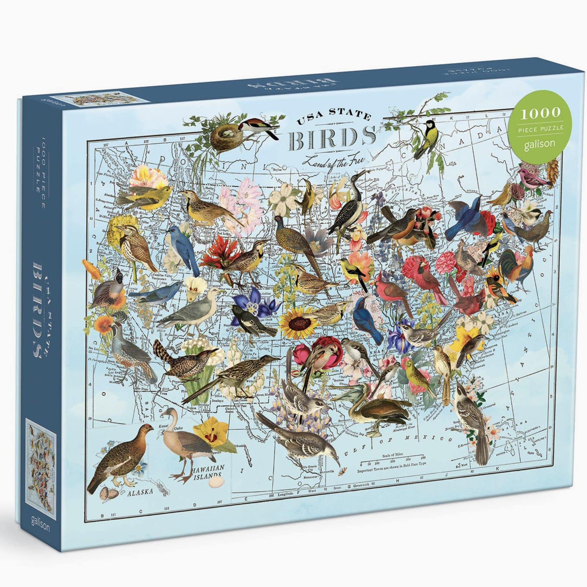 Box of a 1000-piece bird puzzle with a map design