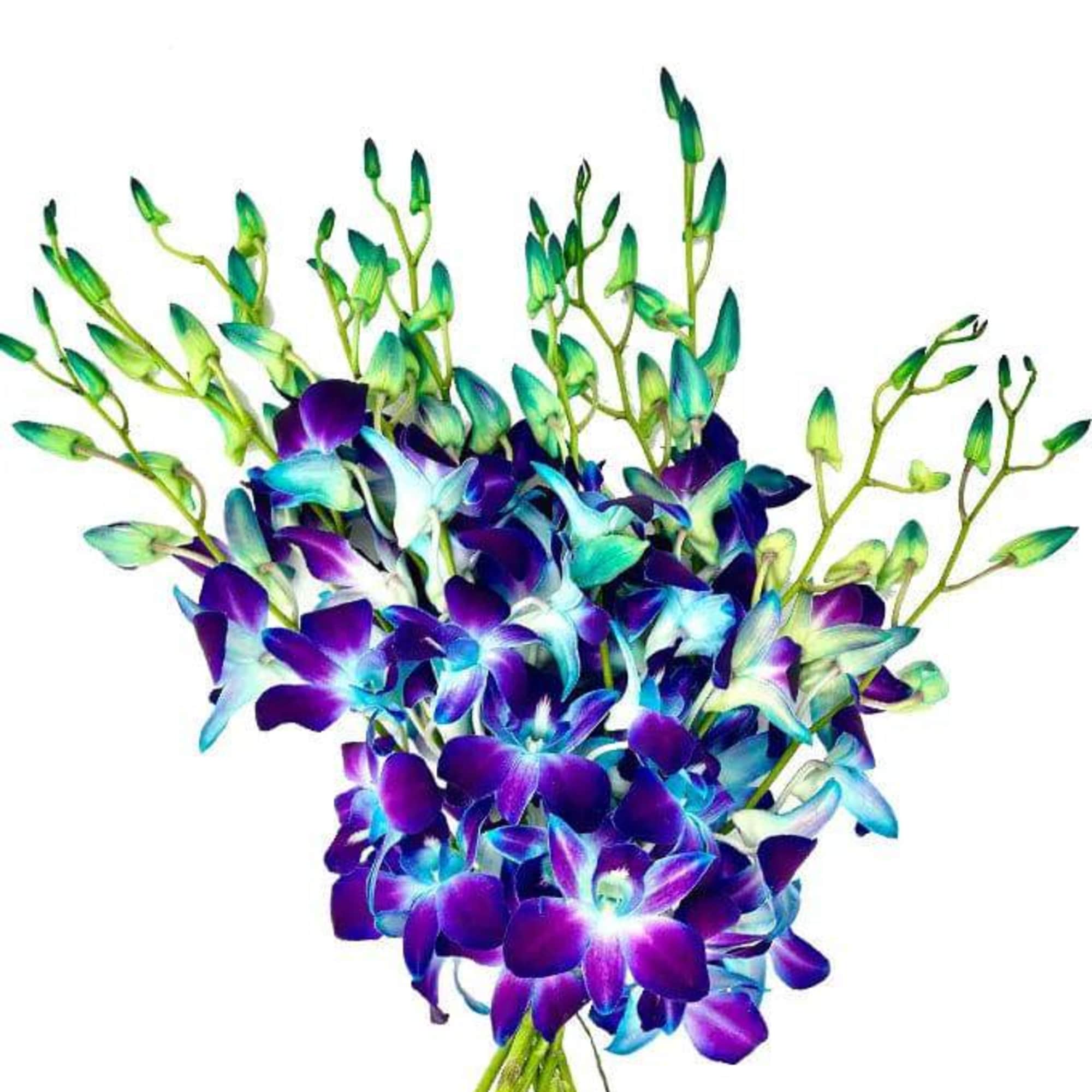 Bouquet of purple and blue orchids with long stems