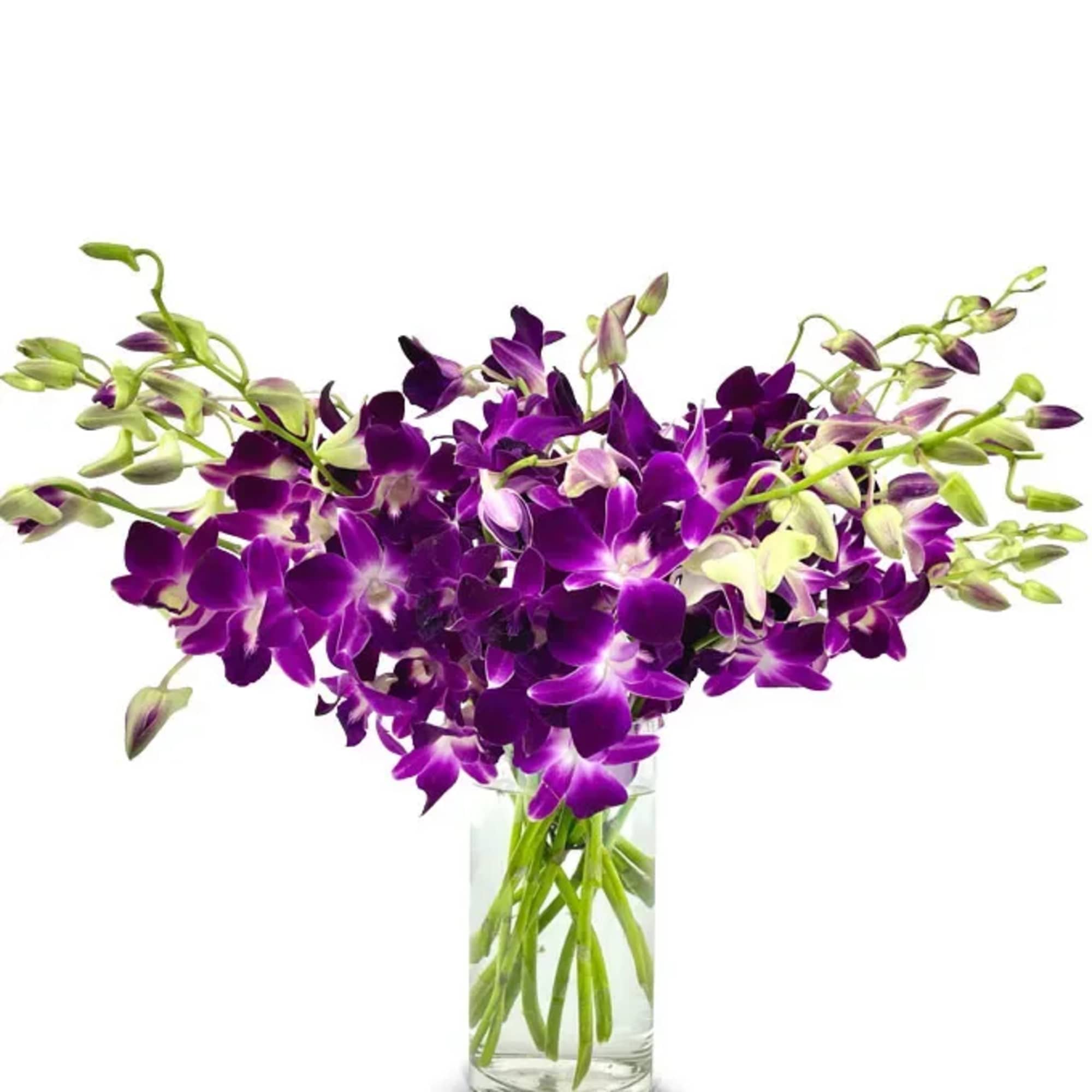 Purple orchids arranged in a clear glass vase