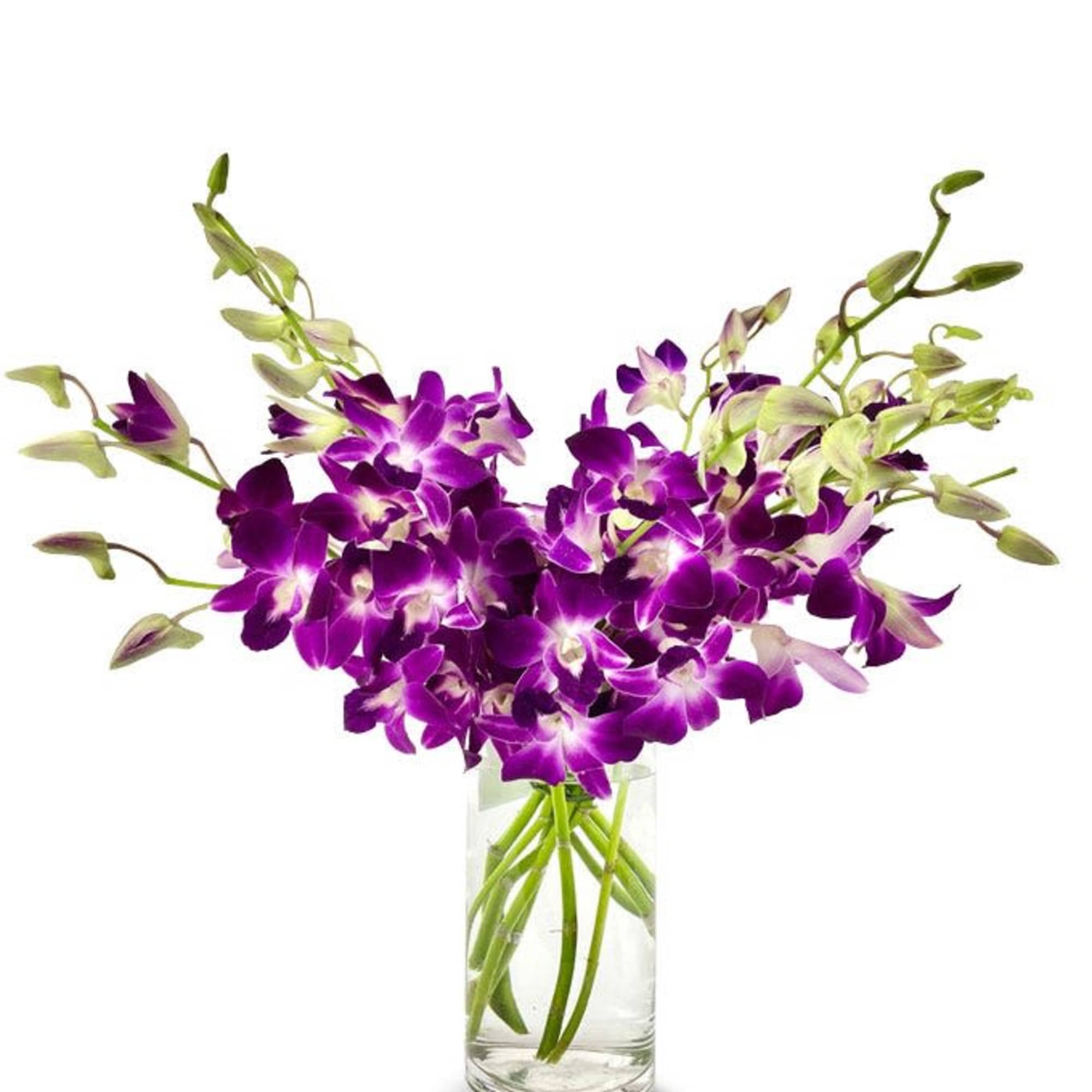 Purple orchids in a clear glass vase