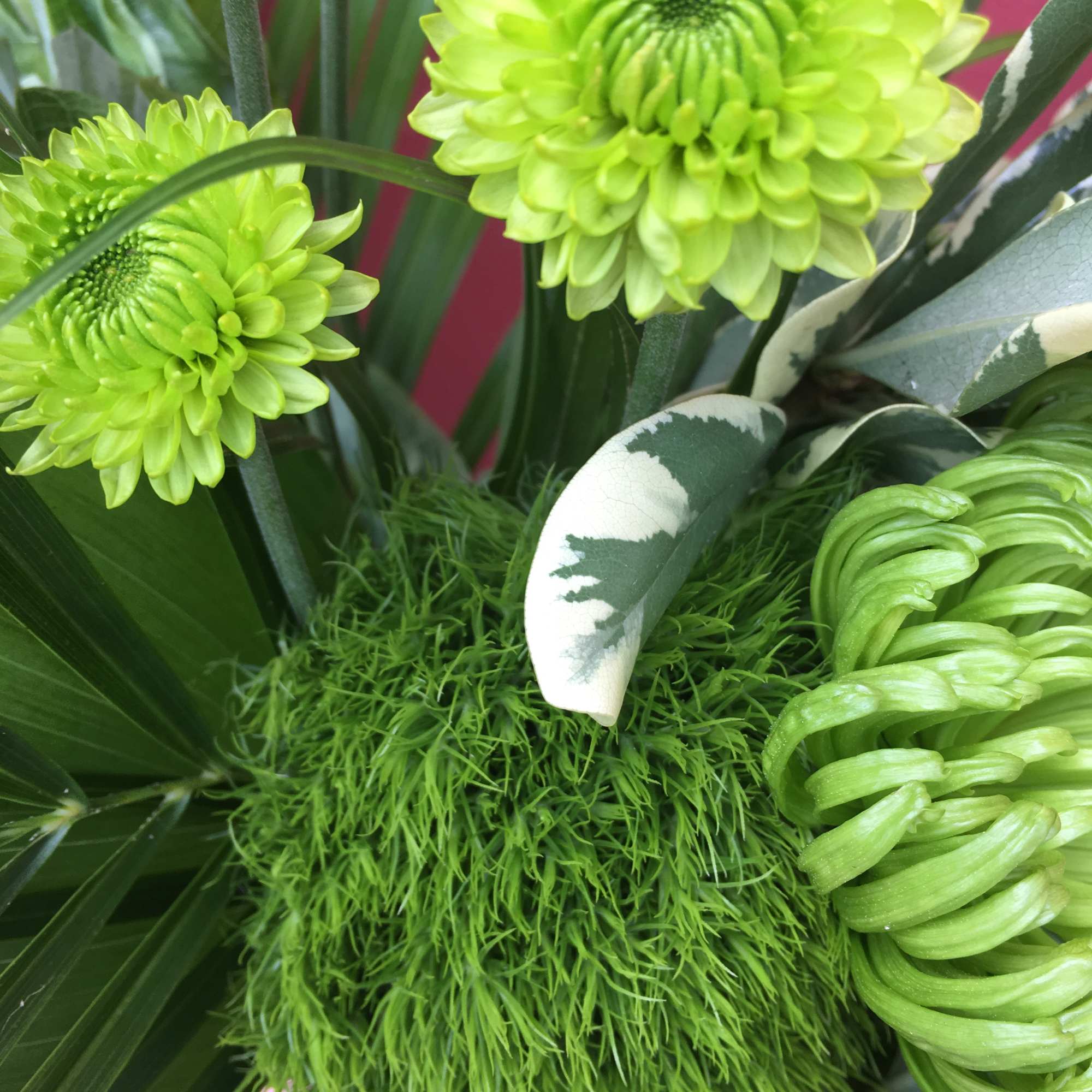 Close-up bouquet with bright green chrysanthemums and textured foliage
