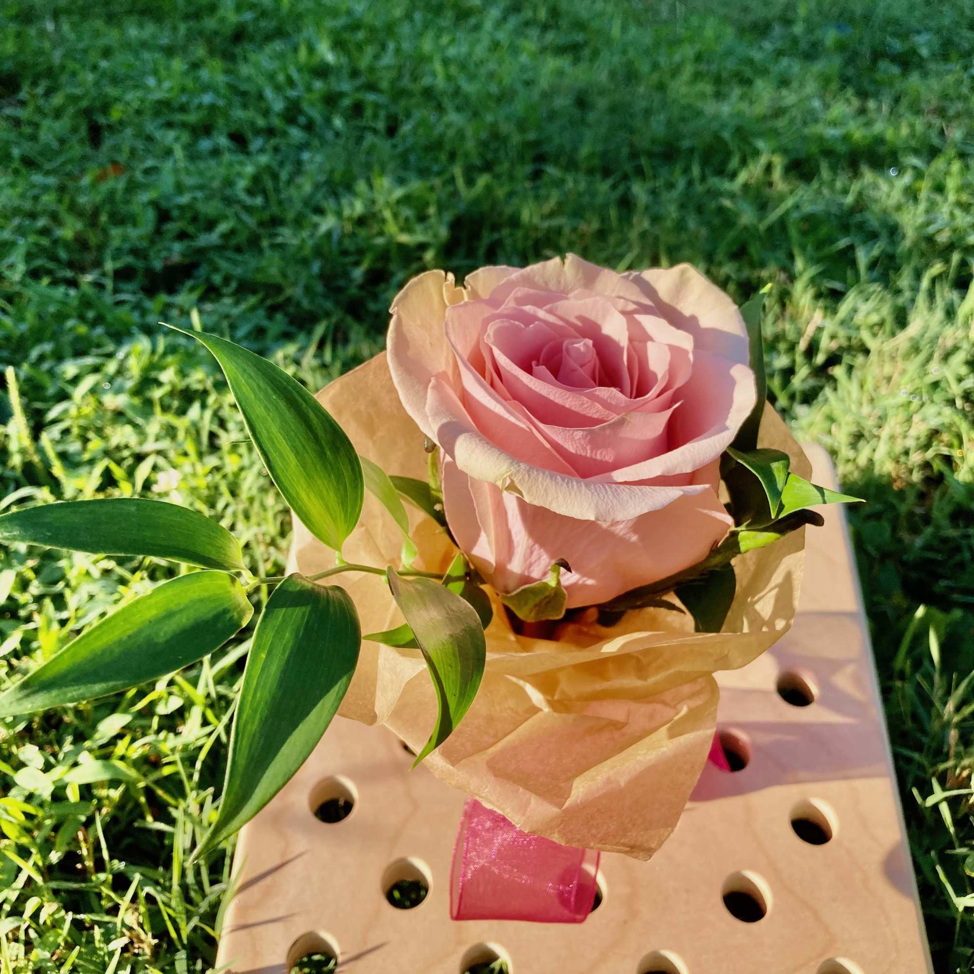 Single pink rose wrapped in brown paper with green leaves