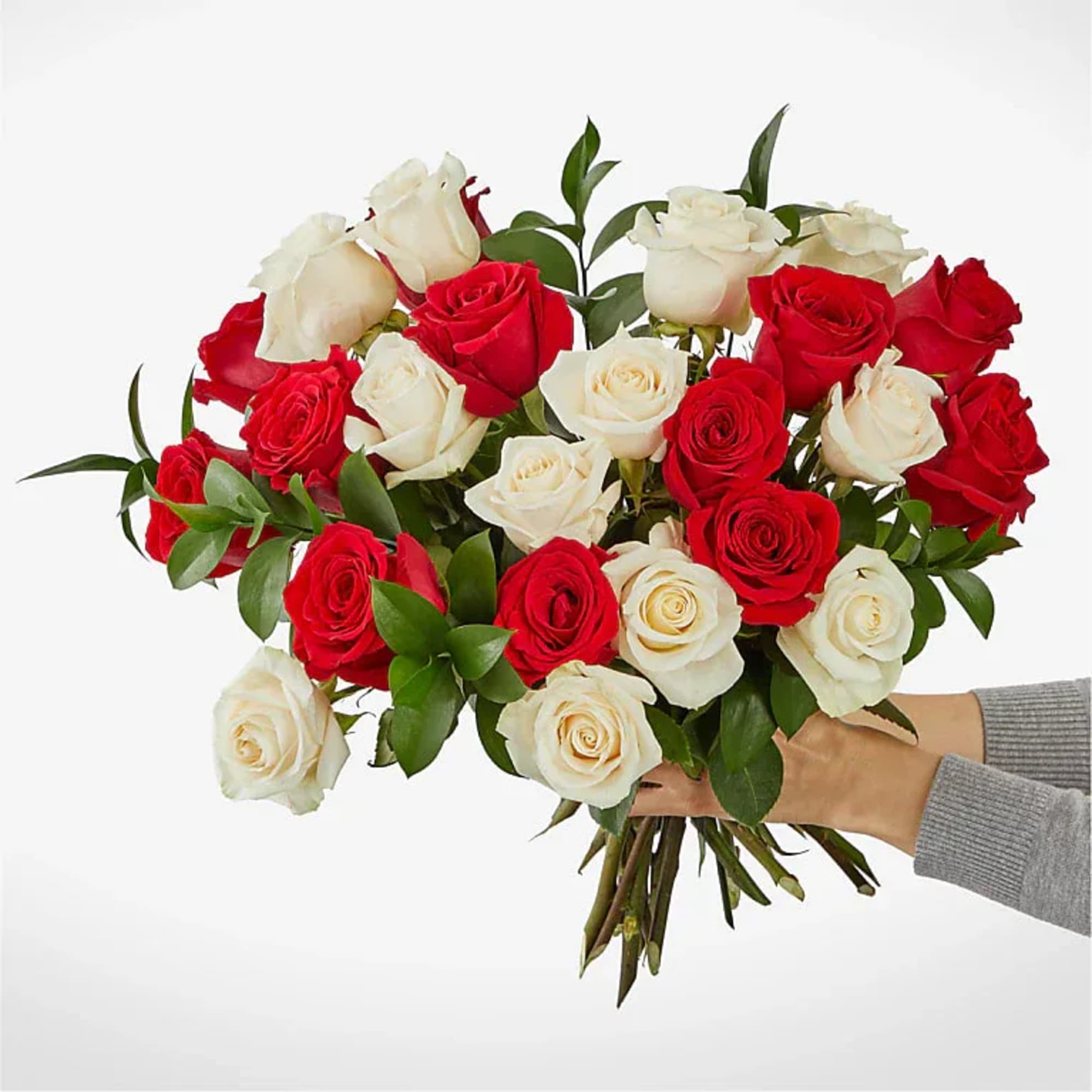  Pet Friendly?
Yes. Roses are generally considered non-toxic to cats and dogs.