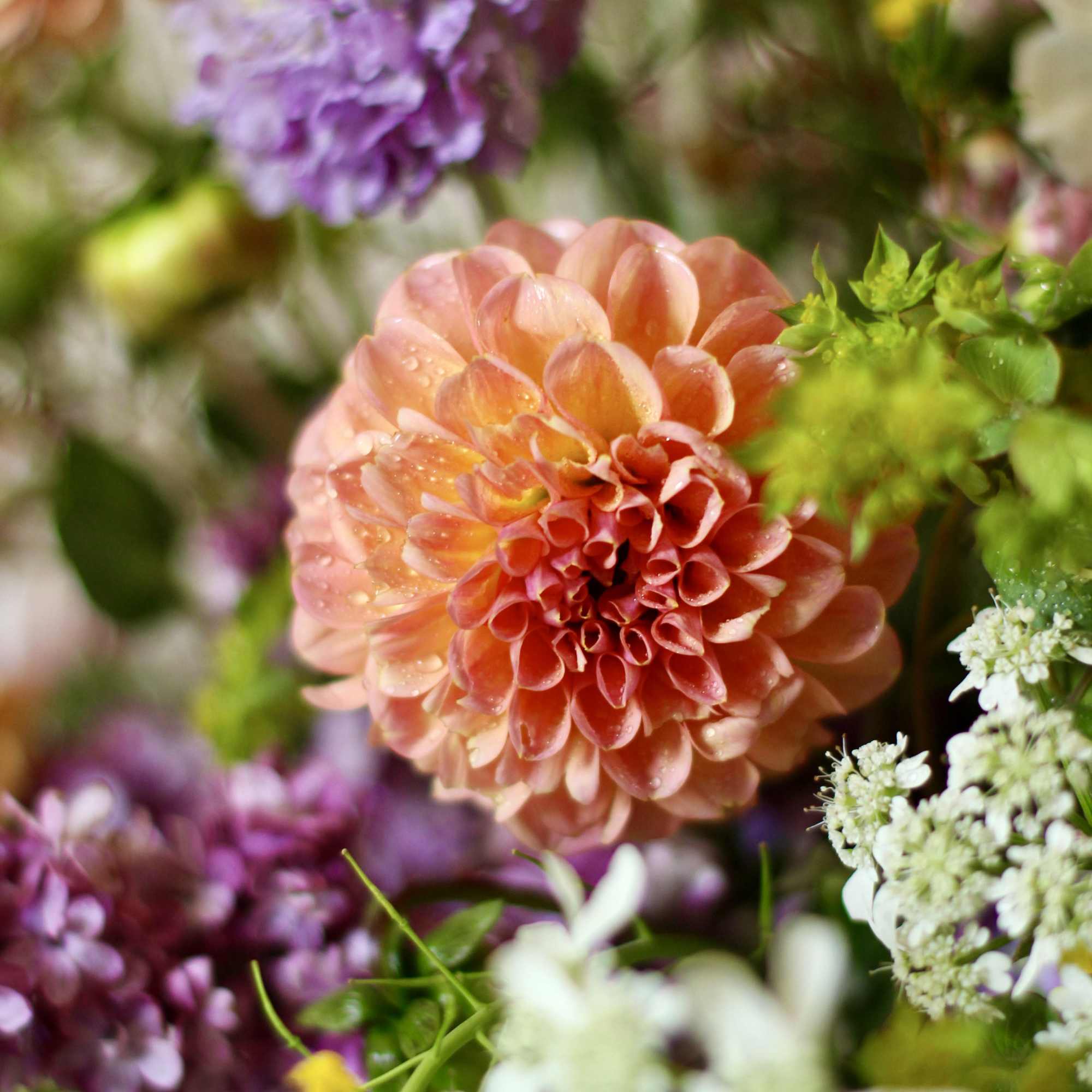 A lush and garden-style arrangement designed exclusively for Mother&rsquo;s Day, featuring premium
