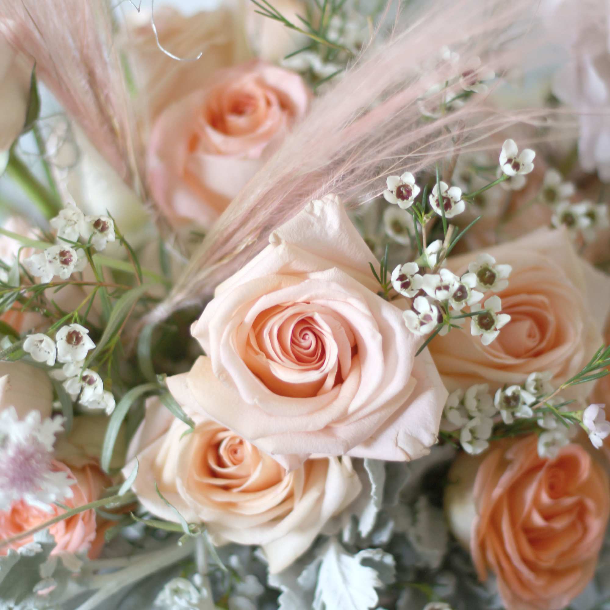 A peach Blush Ivory color palette create by Garden rose, peonies, seasonal