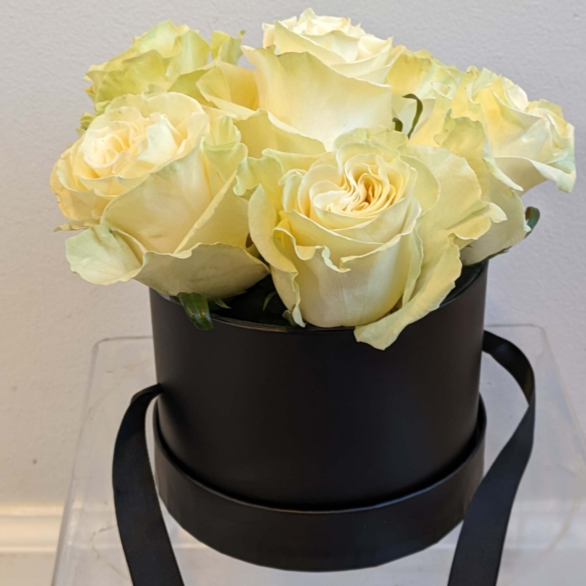Cream roses arranged in a black round box with ribbon