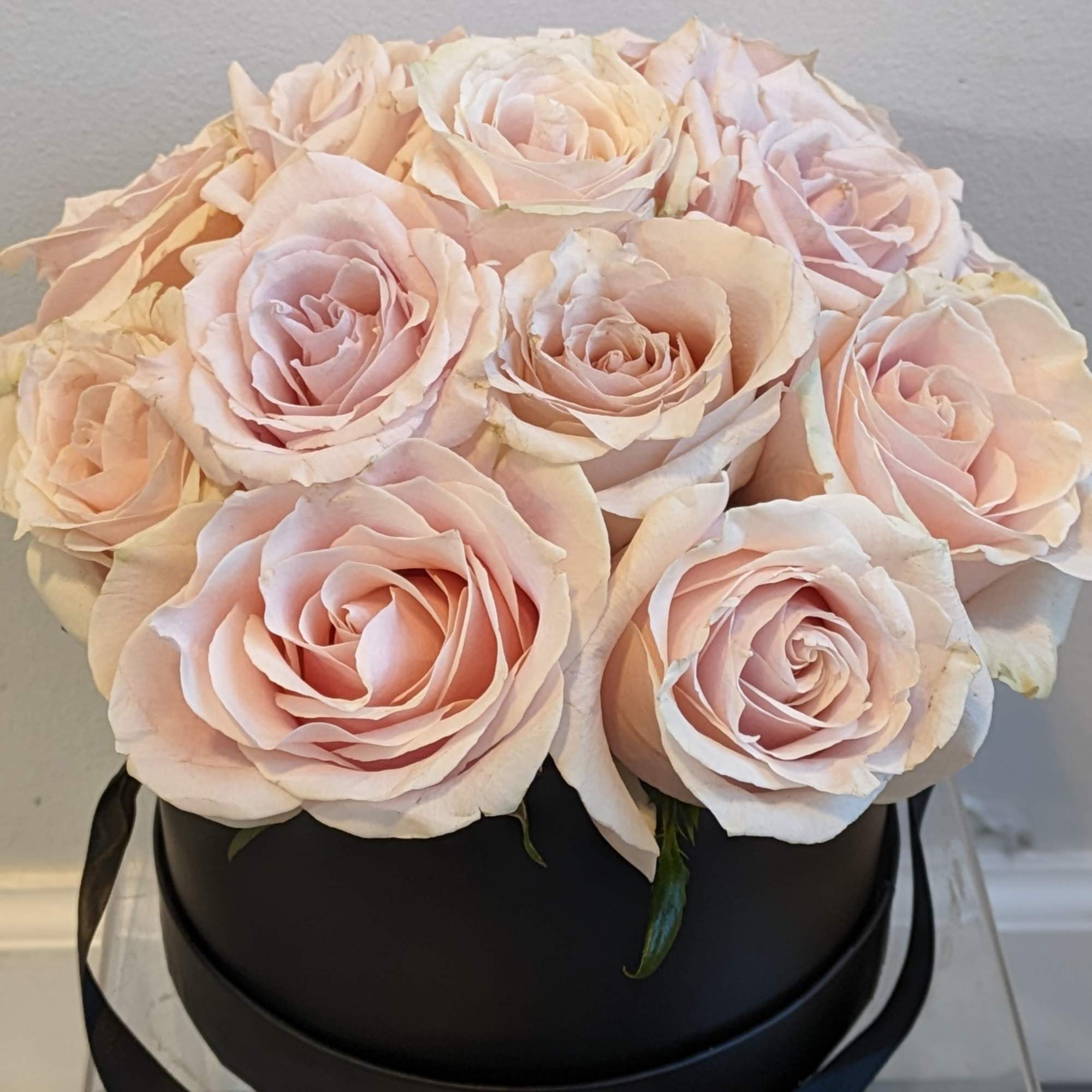 Pale pink roses arranged in a black round box with ribbon.