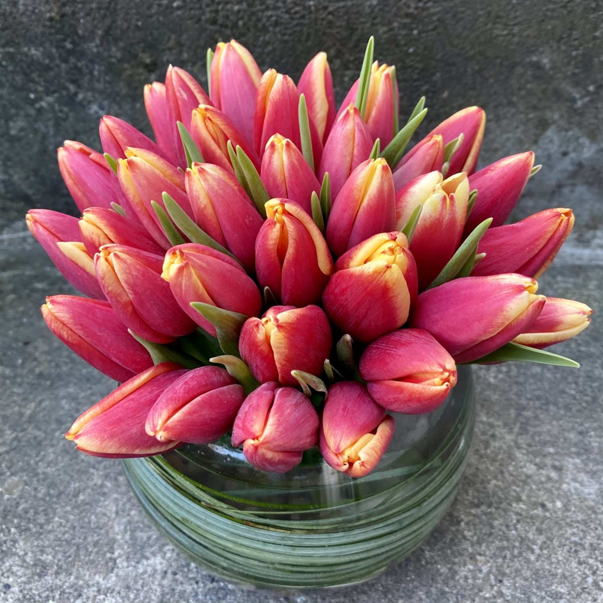 Our Tulip Bowl is a refined celebration of spring, designed to highlight