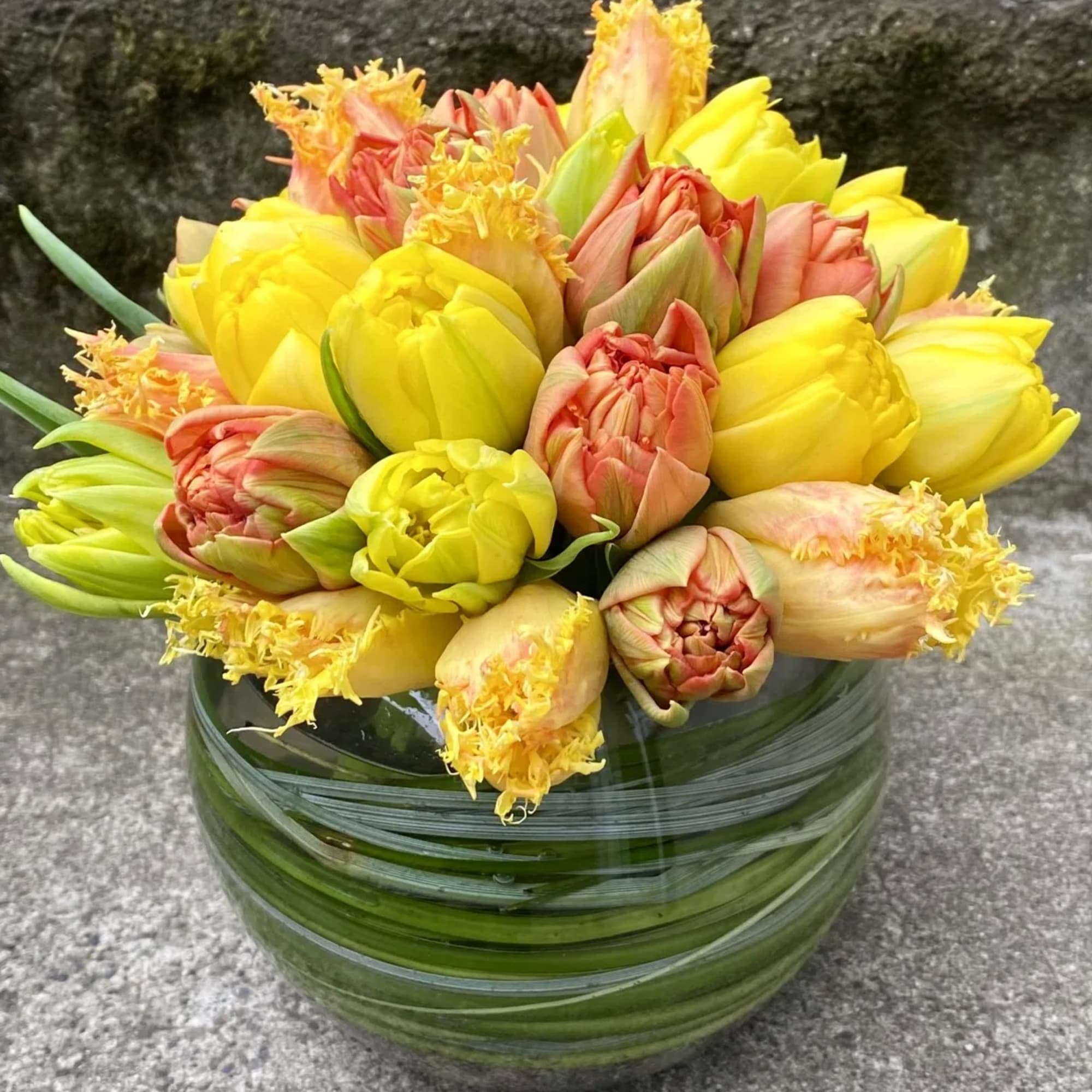 Compact arrangement of yellow and peach fringed tulips in a round glass vase lined with green leaves
