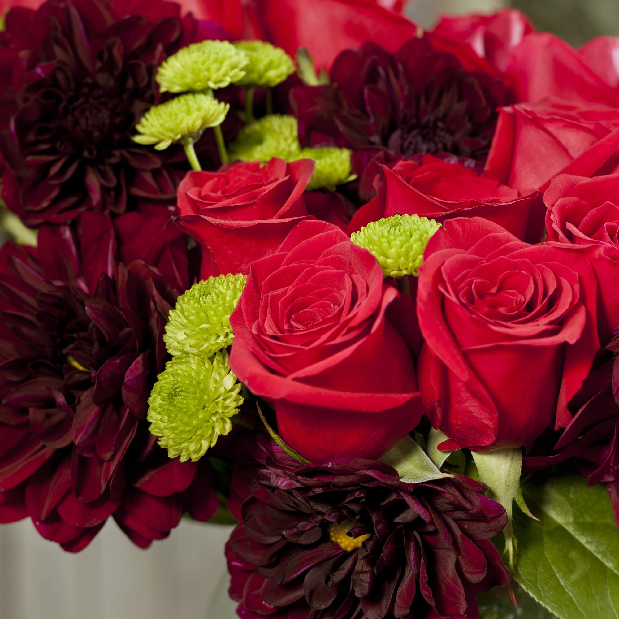 Red roses and dark burgundy flowers with lime green accents in a glass vase