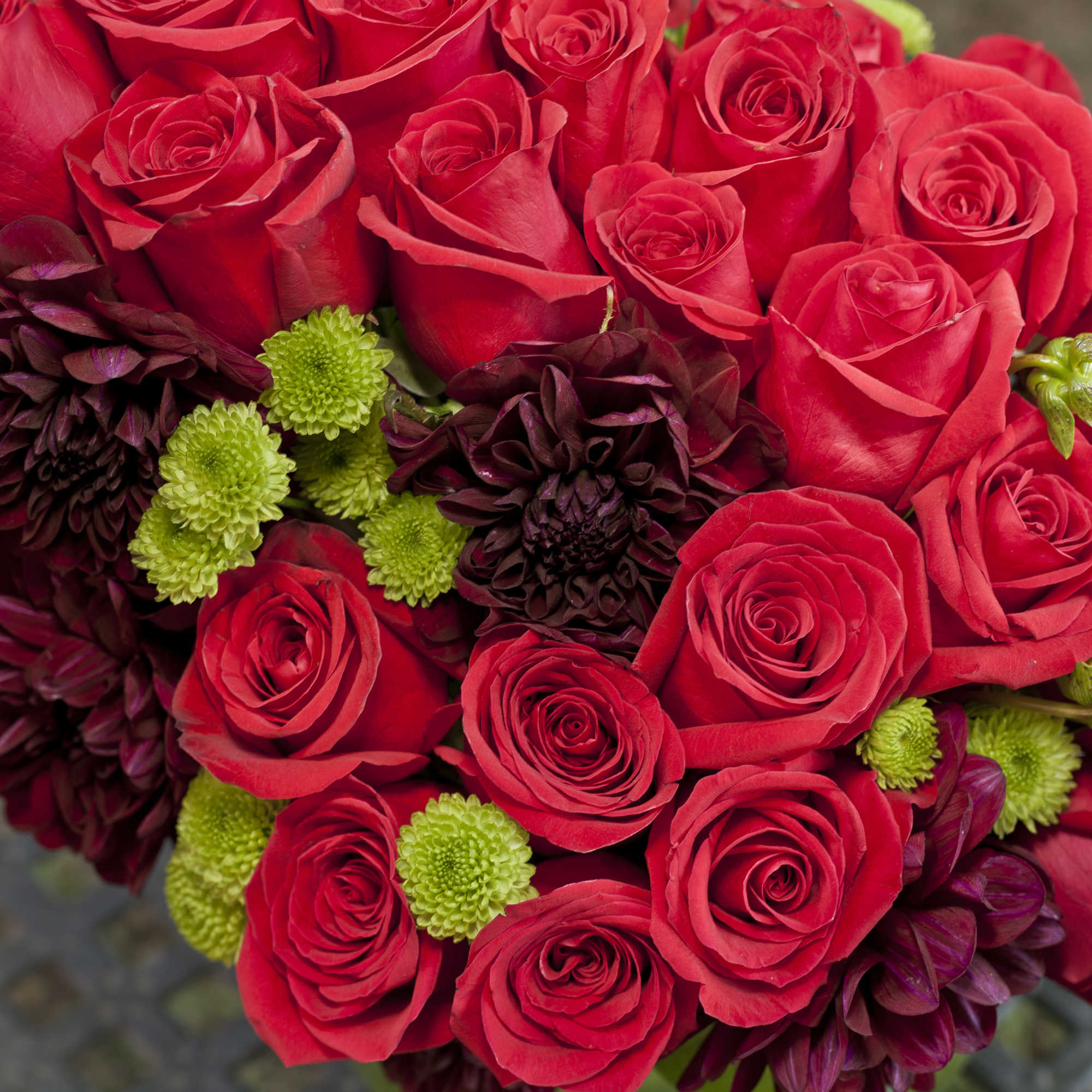 Bouquet of red roses with dark burgundy and green pompon flowers