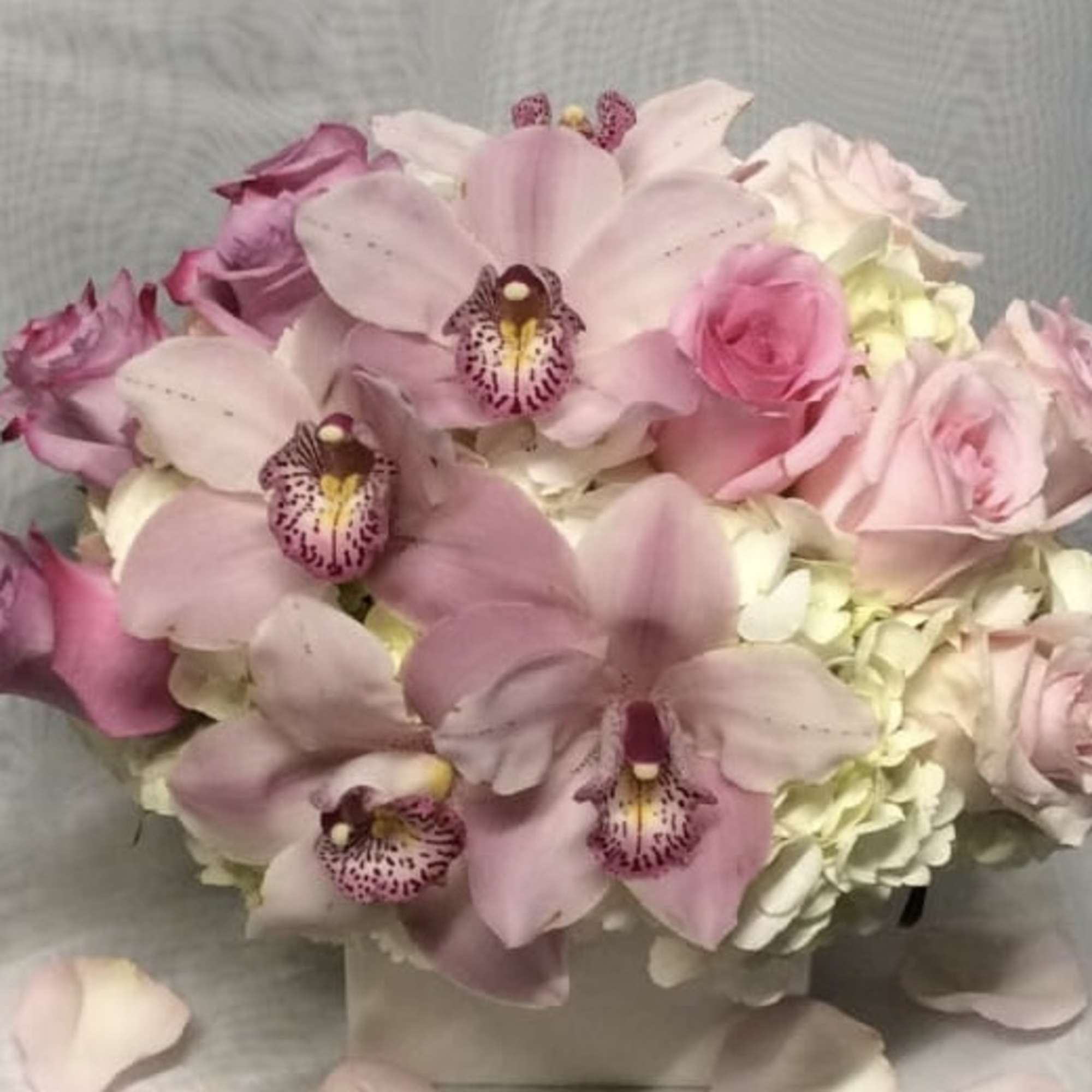 Compact arrangement of pink cymbidium orchids, roses, and white hydrangeas in a low white vase