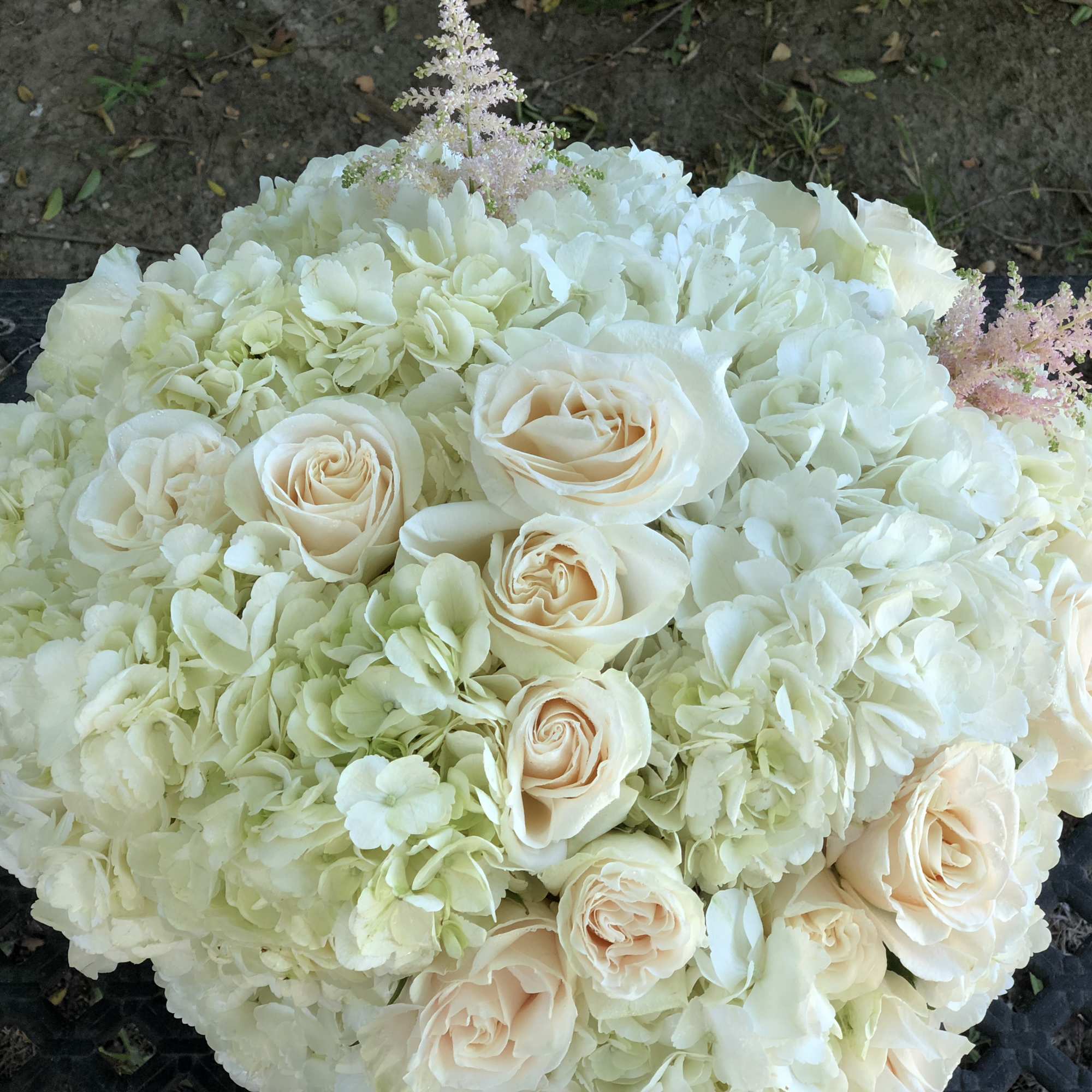 Cream roses and white hydrangeas in a rounded bouquet