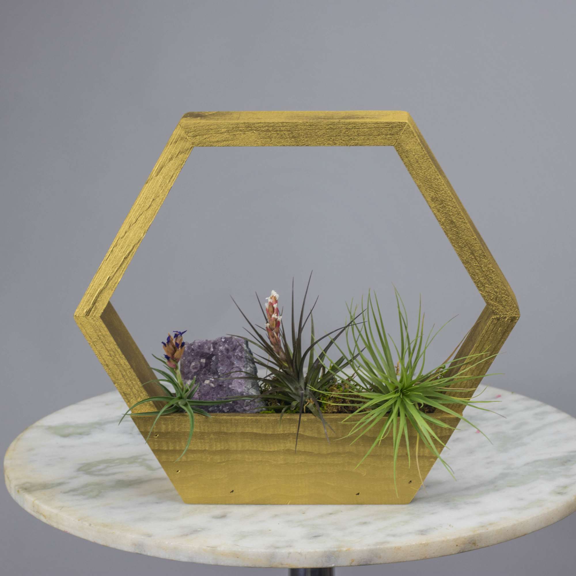 Geometric gold planter with small air plants and a purple crystal