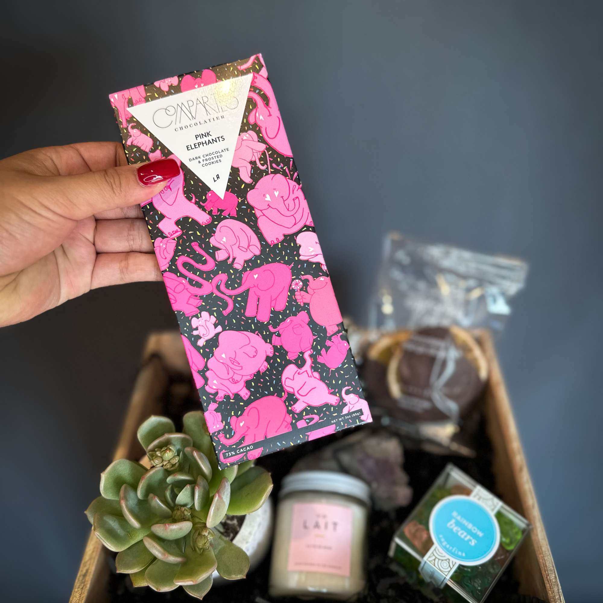 Gift basket with chocolate bar, succulent, candle, and candy box