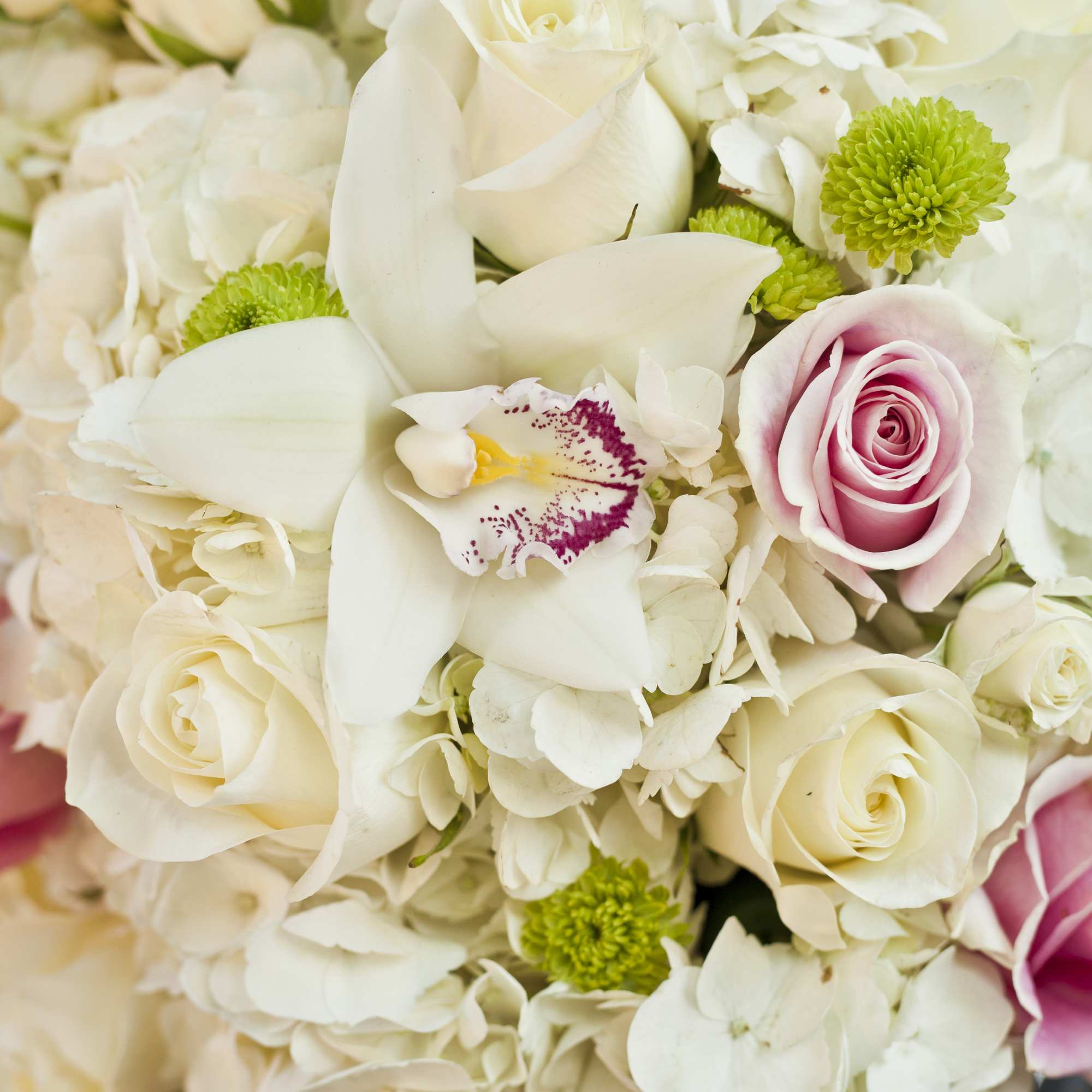 A true favorite! Casa Dolce features Rosita Vendela roses, cymbidium orchids, hydrangeas