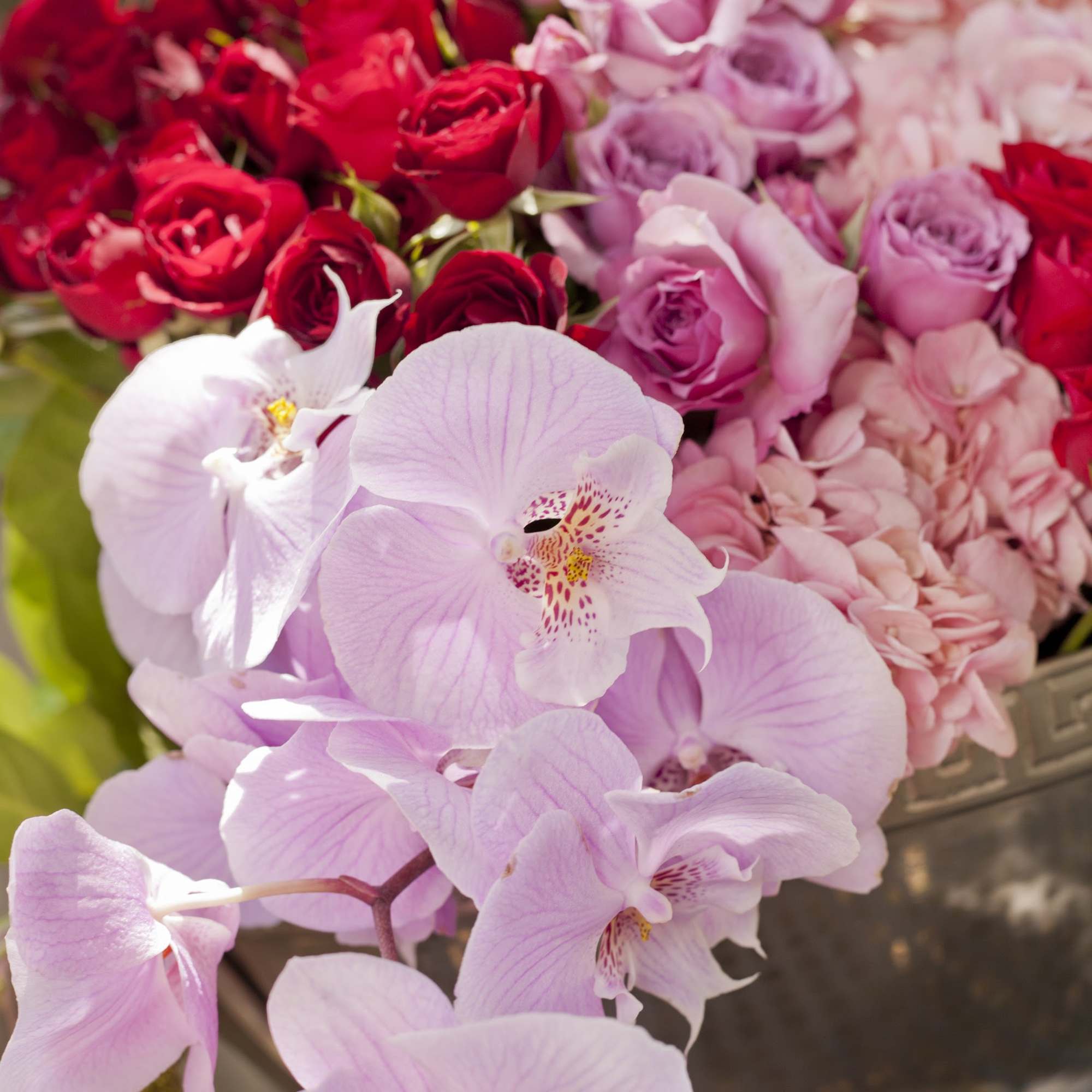 Pink and red roses with pale pink orchids in a silver vase