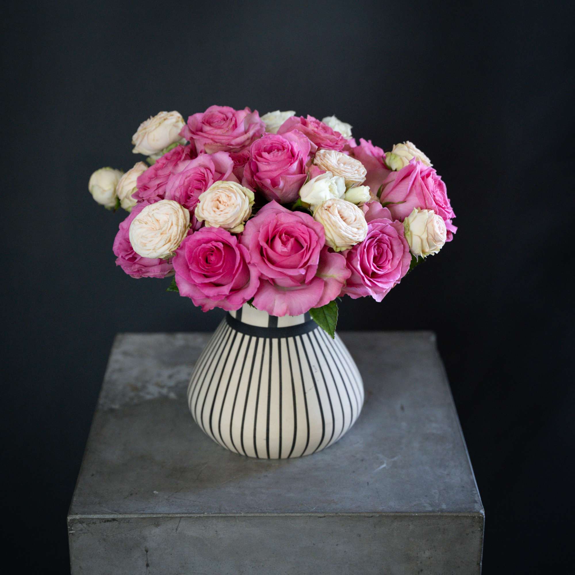 Delight in the beauty of soft pink roses and garden spray roses