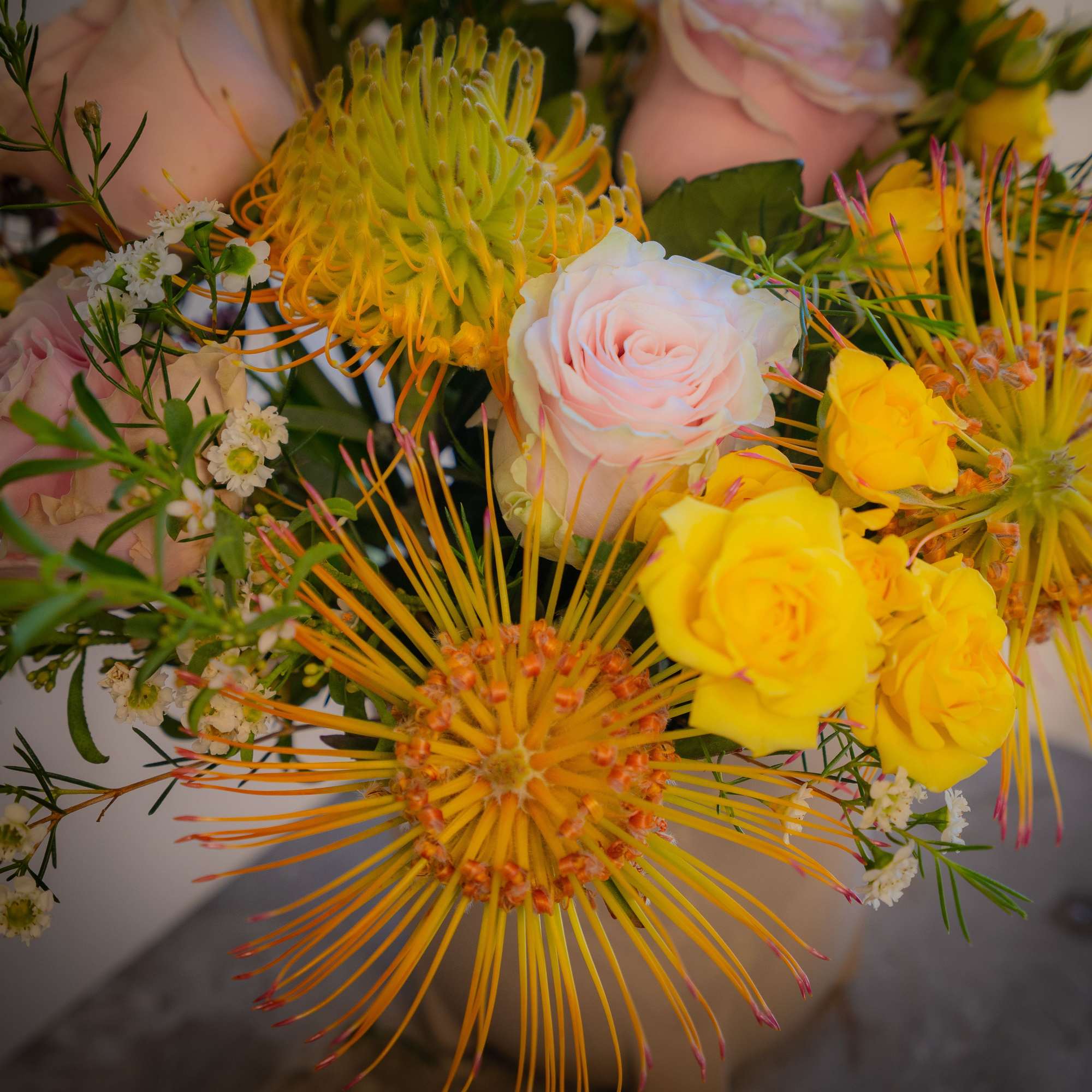 Vicenda Tropicale, or "Tropical Affair," is one of our new favorite designs