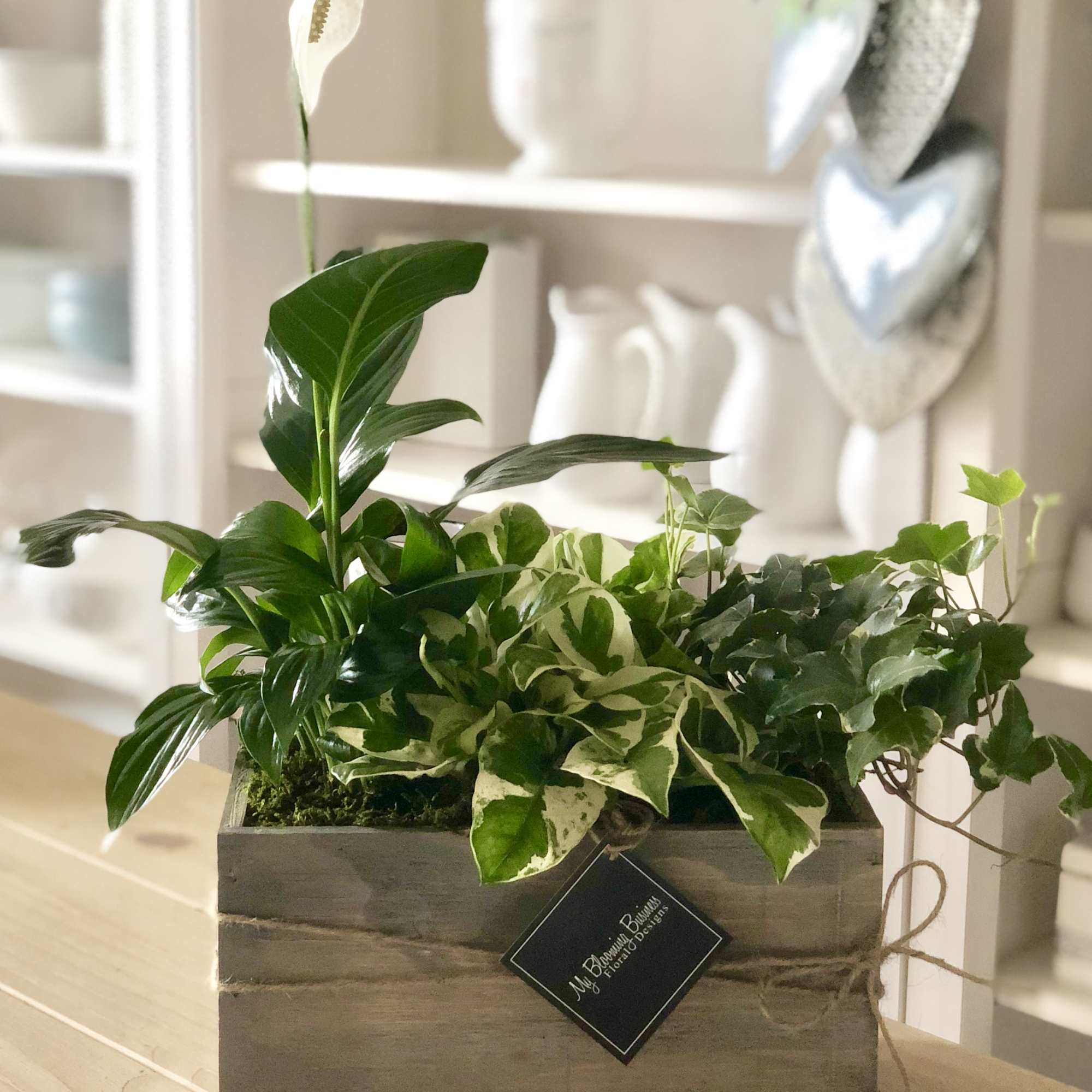 Potted green plant arrangement in a wooden box with a white bloom